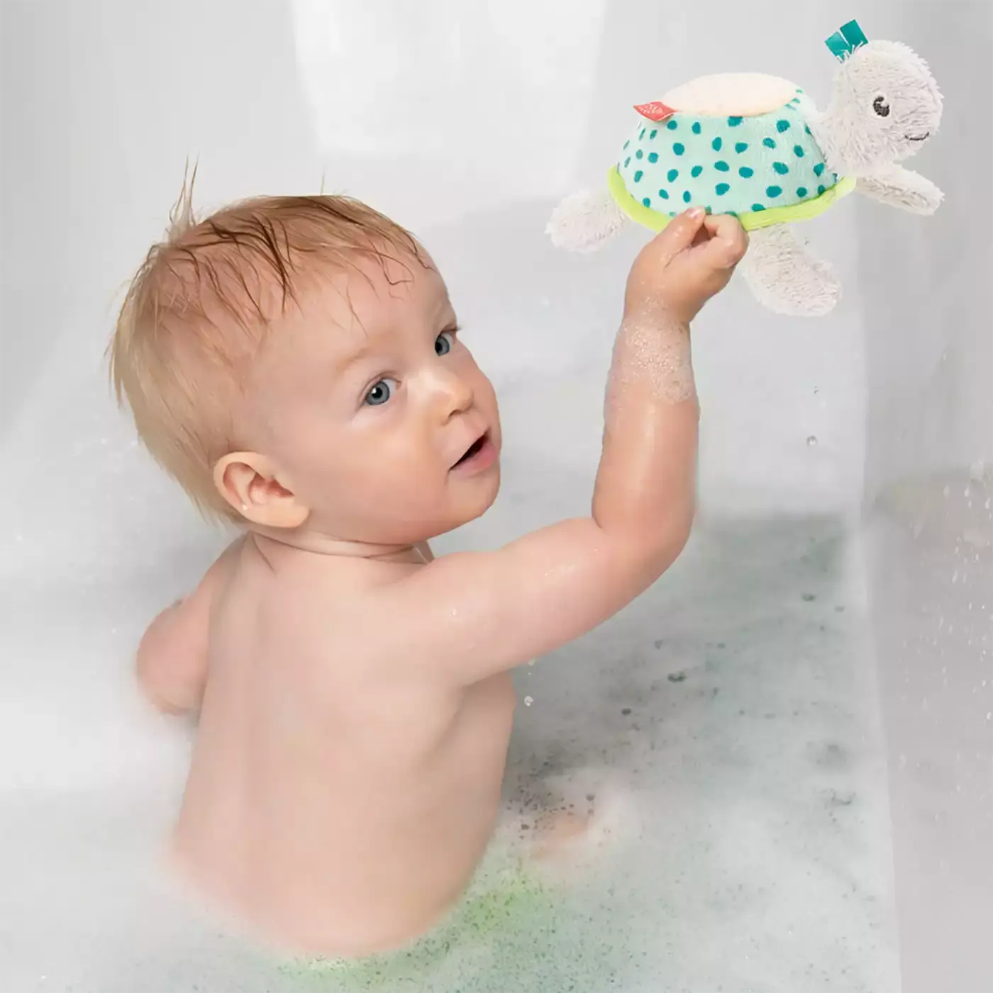 Bade-Schwamm Schildkröte - Jamouz