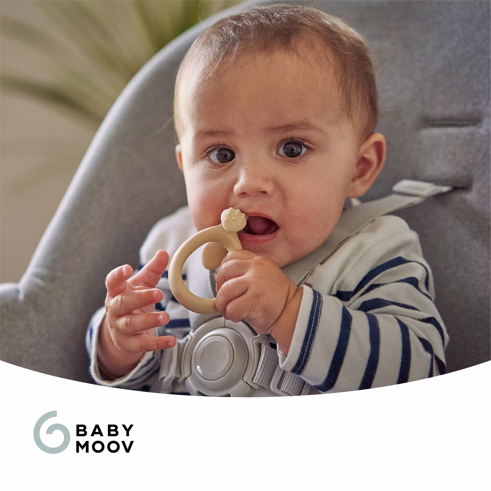 Geschirrset 3-teilig FIRST'ISY Dog - Jamouz