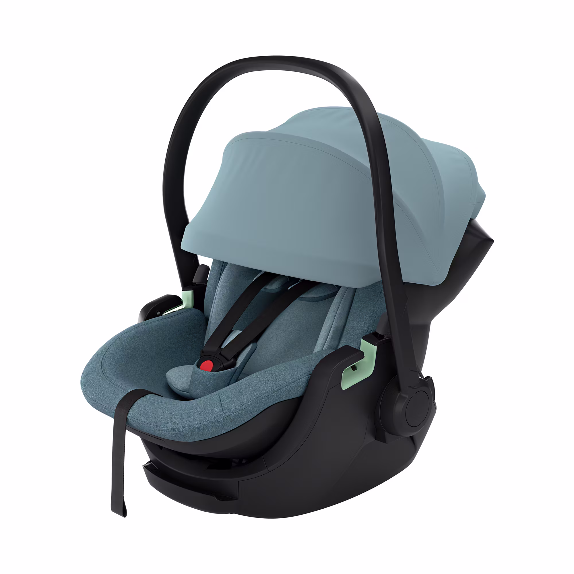 Maple Black - Jamouz