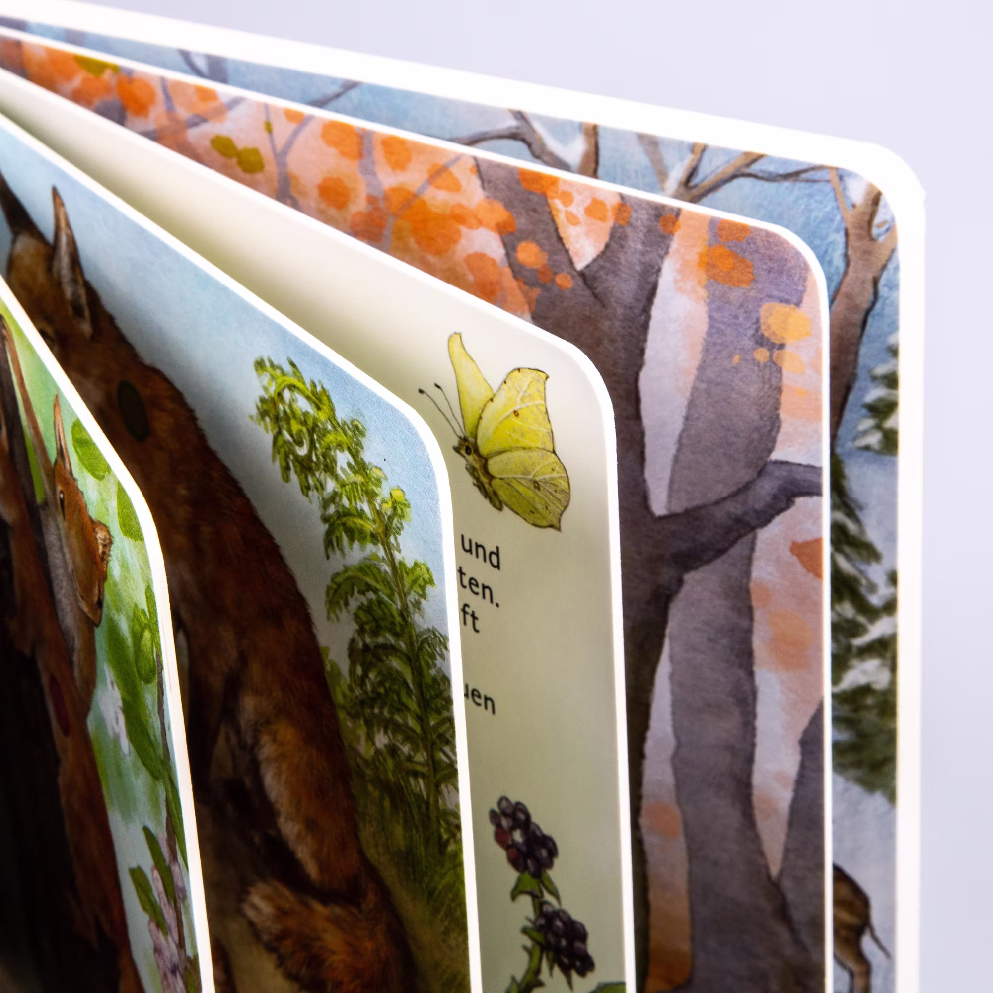 Hör mal: Im Wald - Jamouz