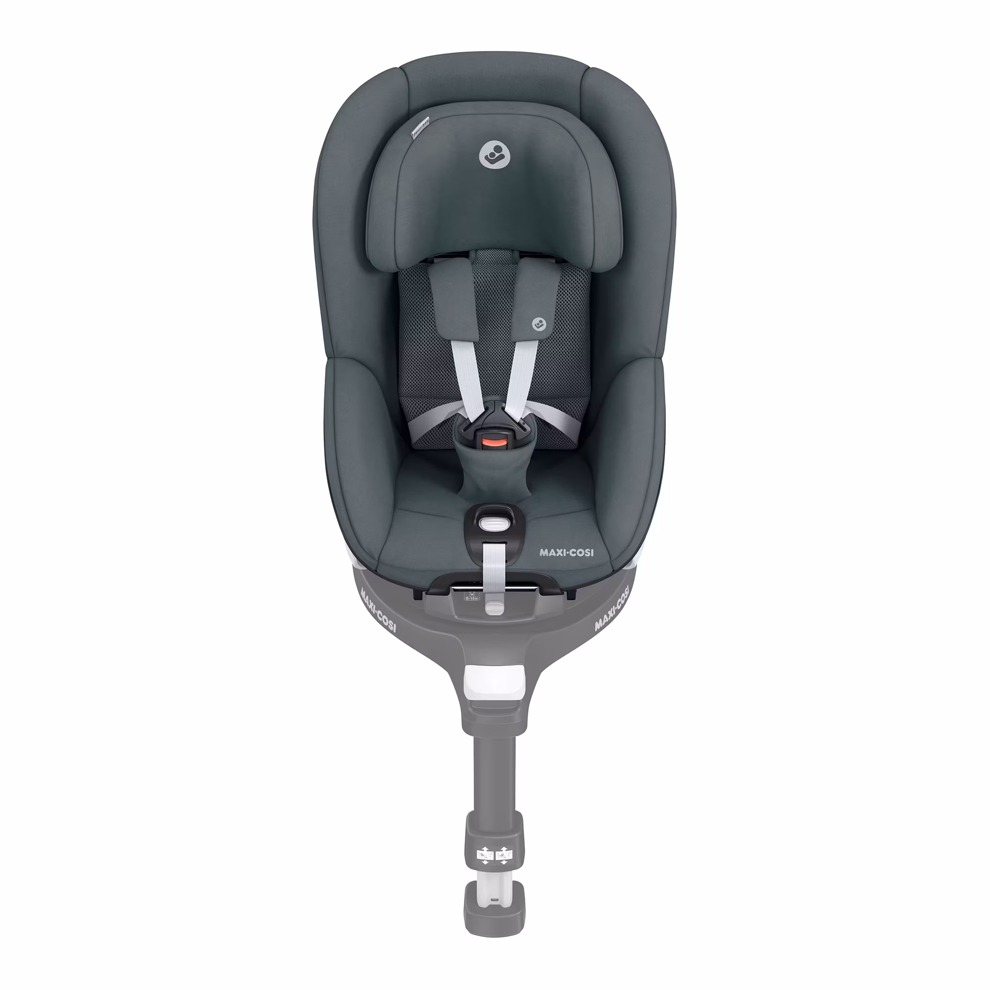 Pearl 360 Authentic Graphite - Jamouz