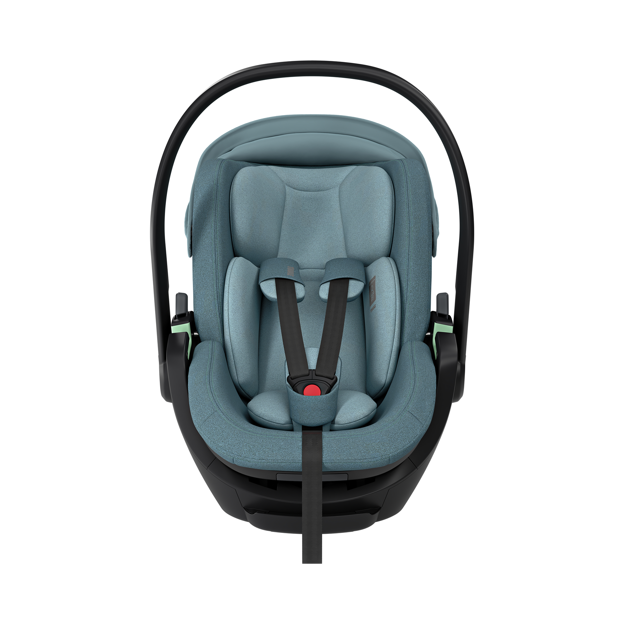 Maple Black - Jamouz