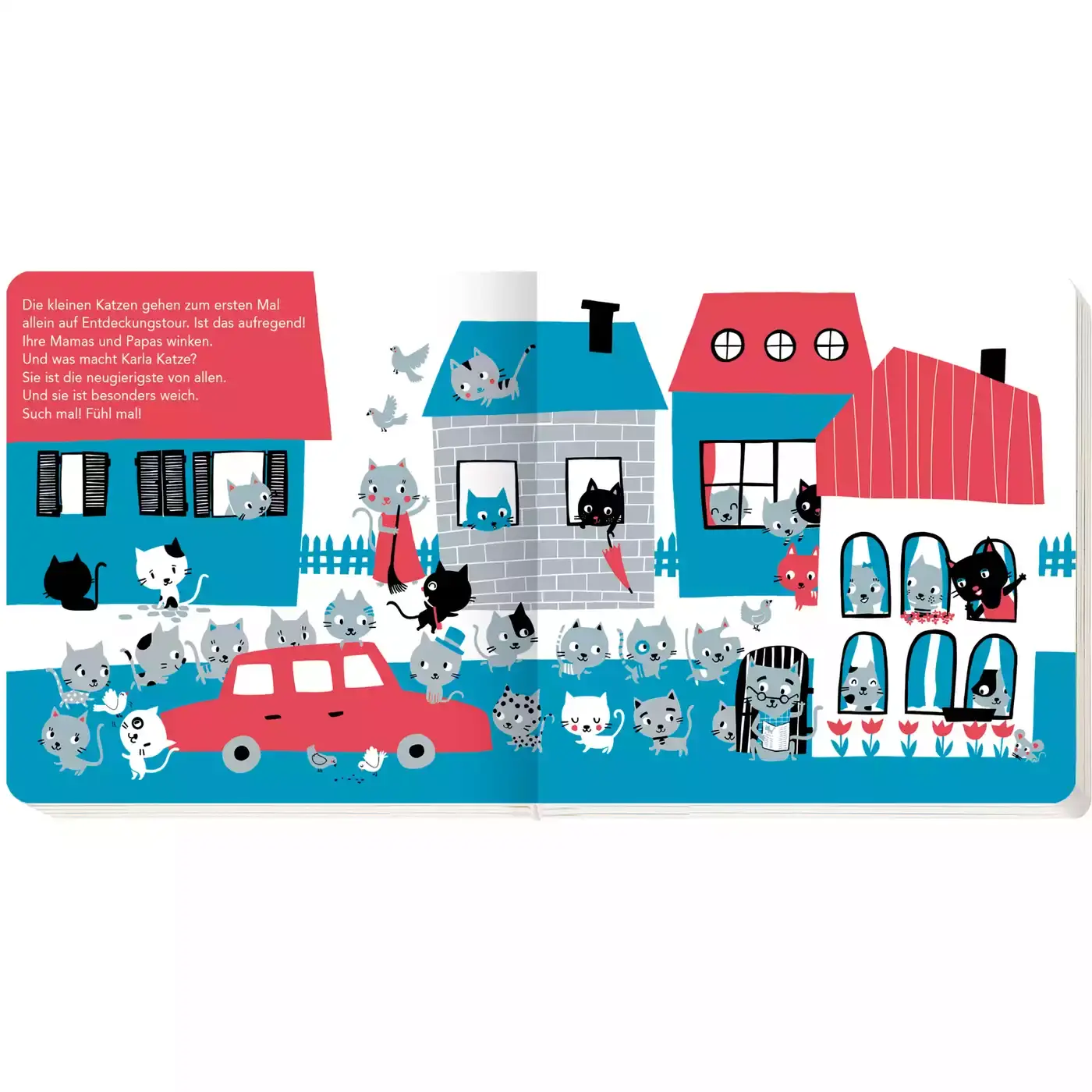 Fühl mal, such mal!: Wo ist Karla Katze? - Jamouz