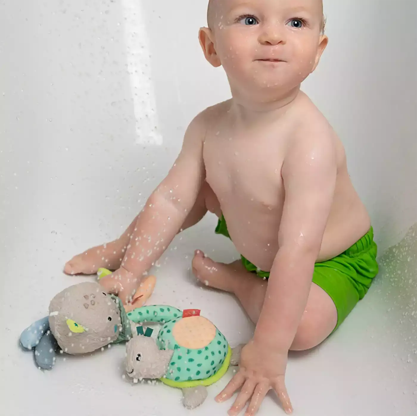 Bade-Schwamm Schildkröte - Jamouz