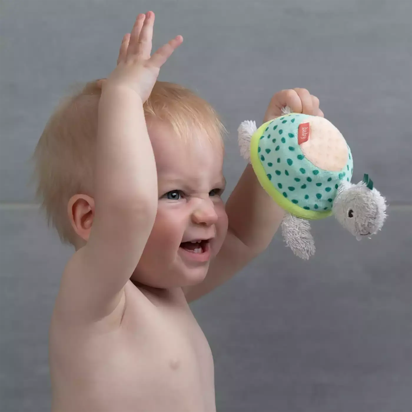 Bade-Schwamm Schildkröte - Jamouz