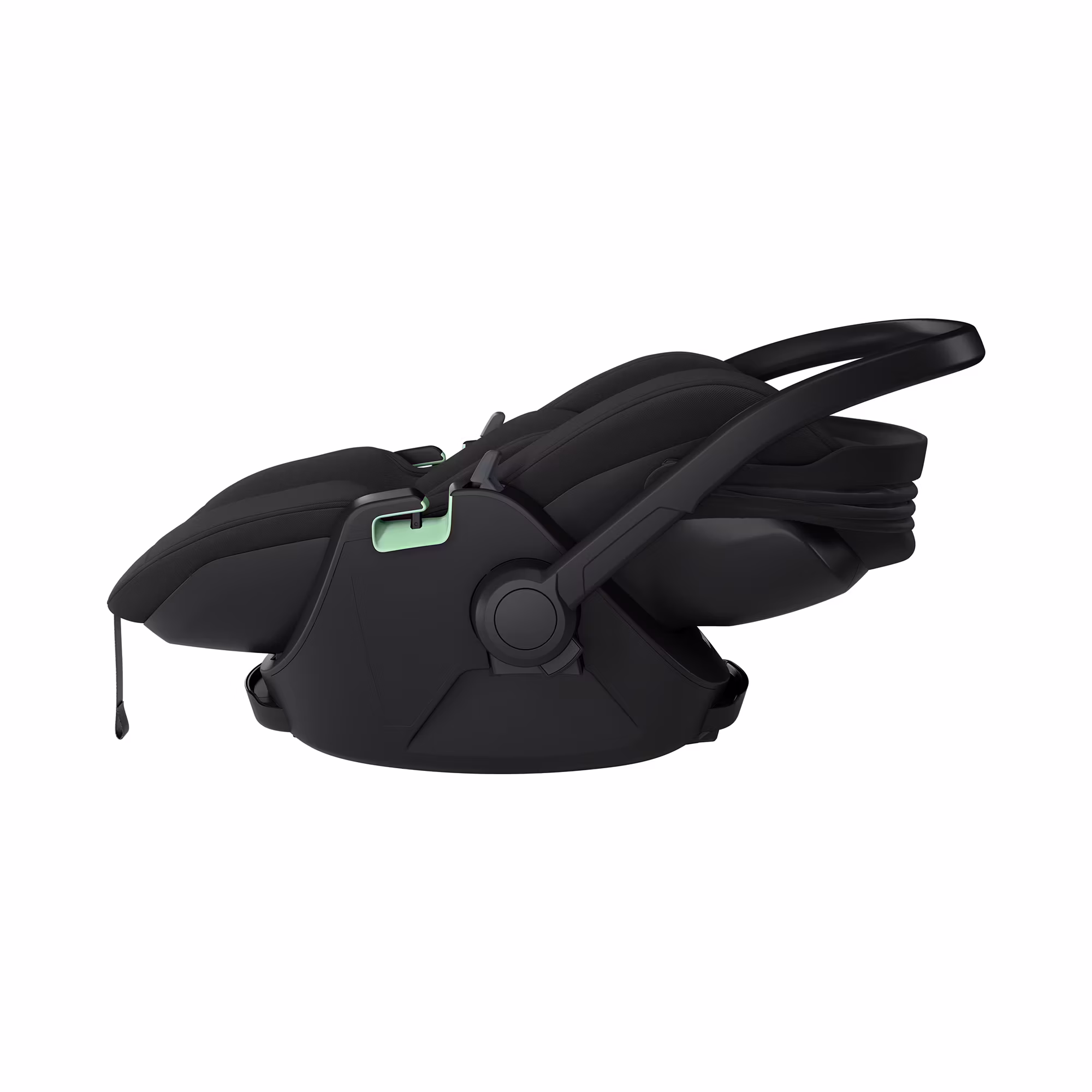 Maple Black - Jamouz