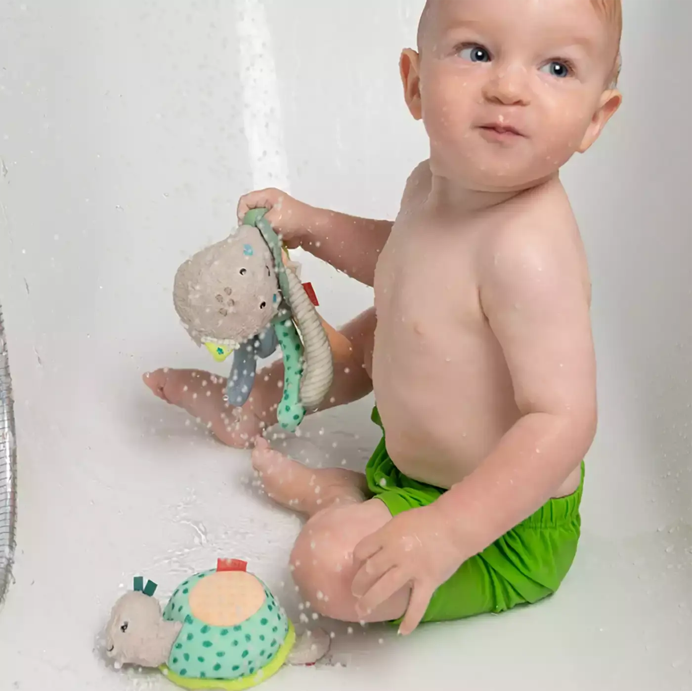 Bade-Schwamm Schildkröte - Jamouz