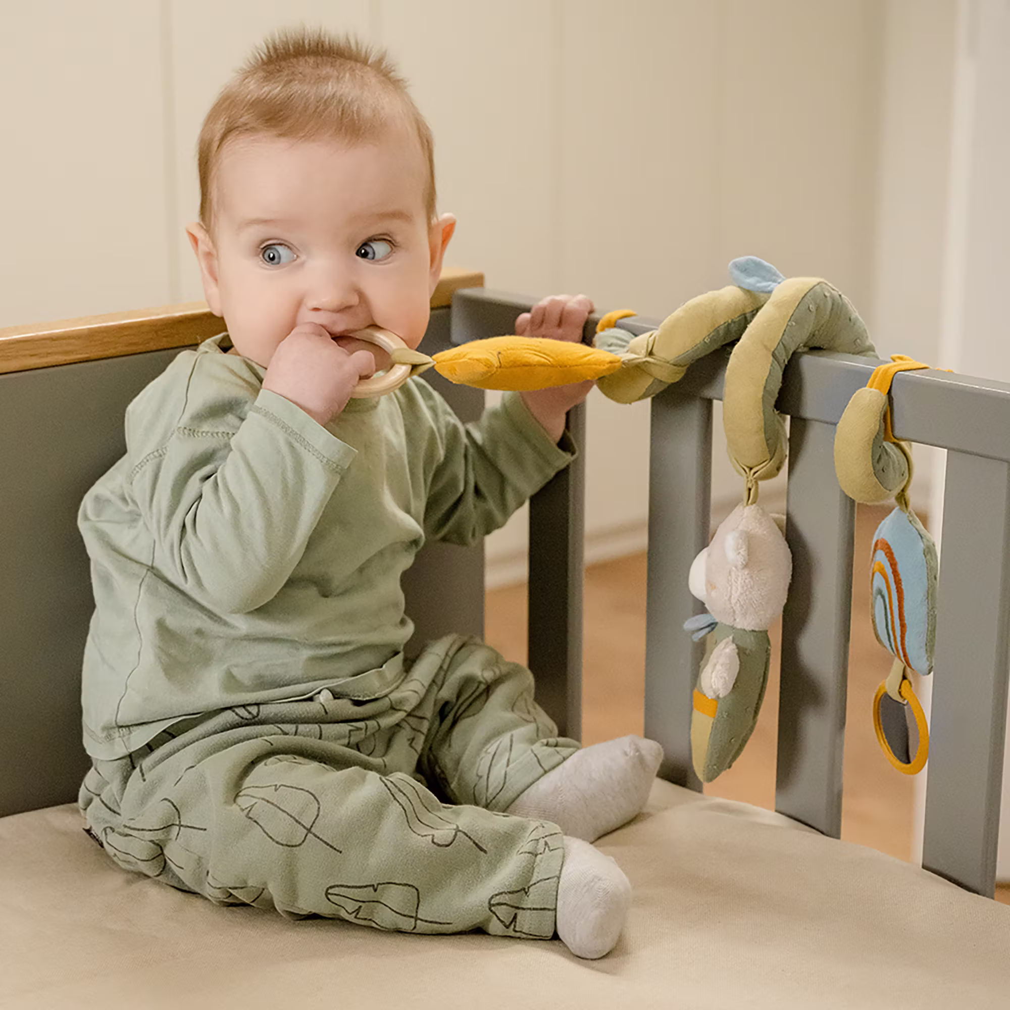 Activity-Spirale Bär - Jamouz