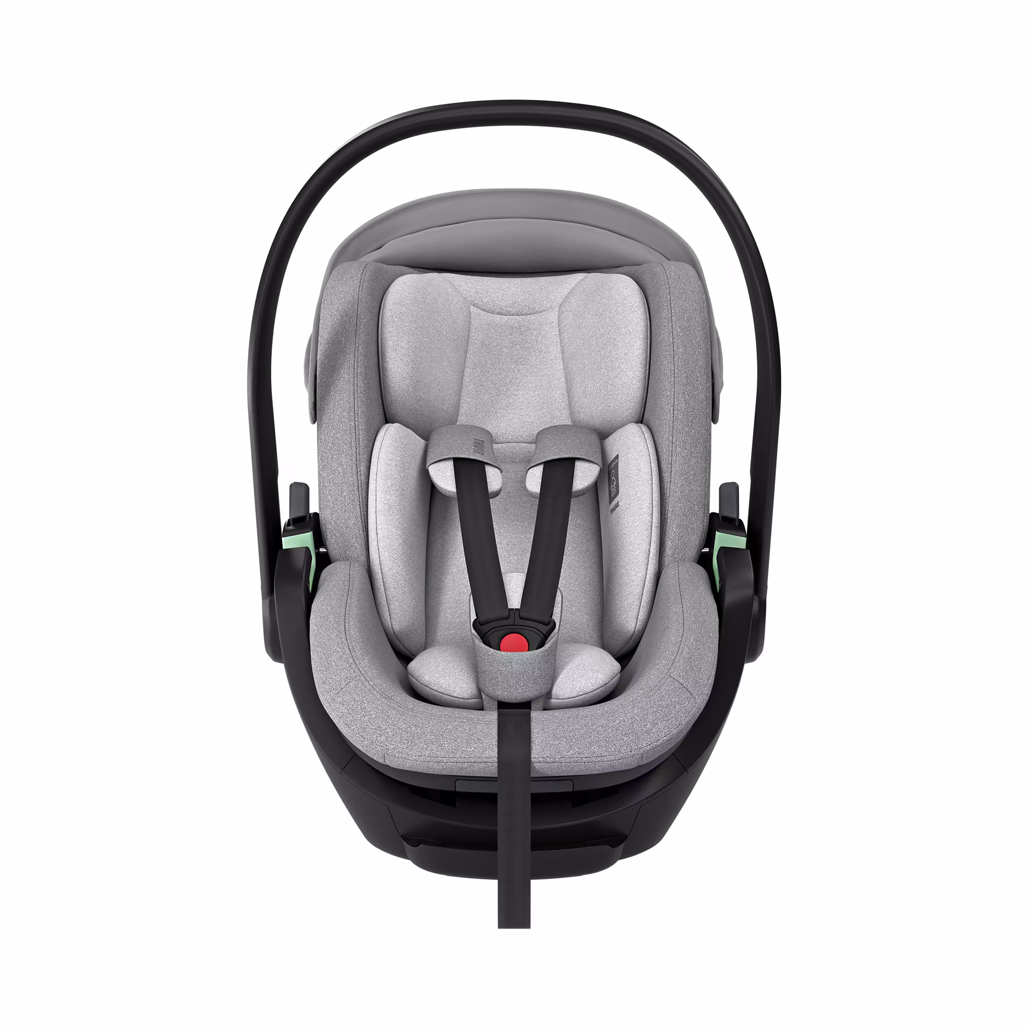 Maple Black - Jamouz