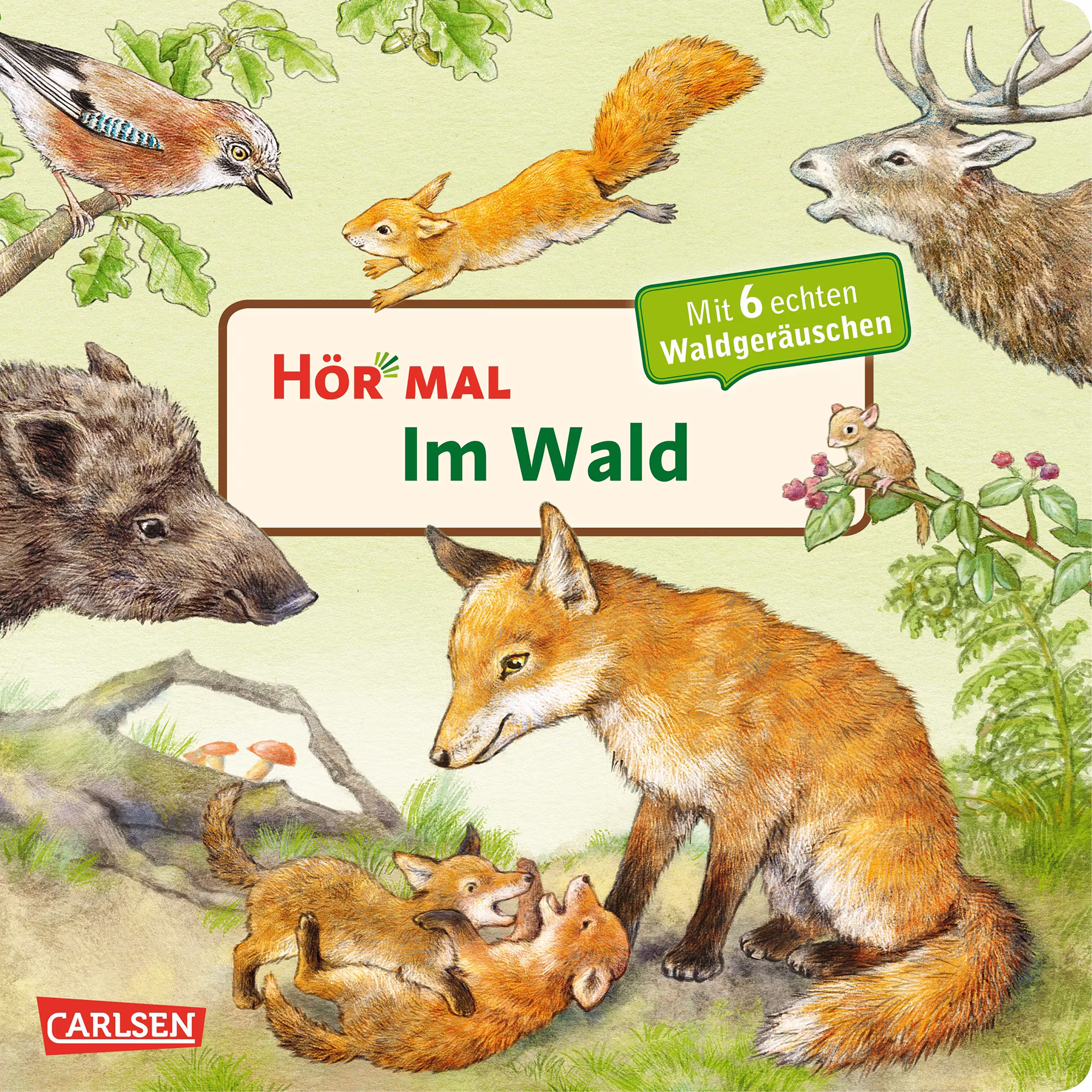 Hör mal: Im Wald - Jamouz