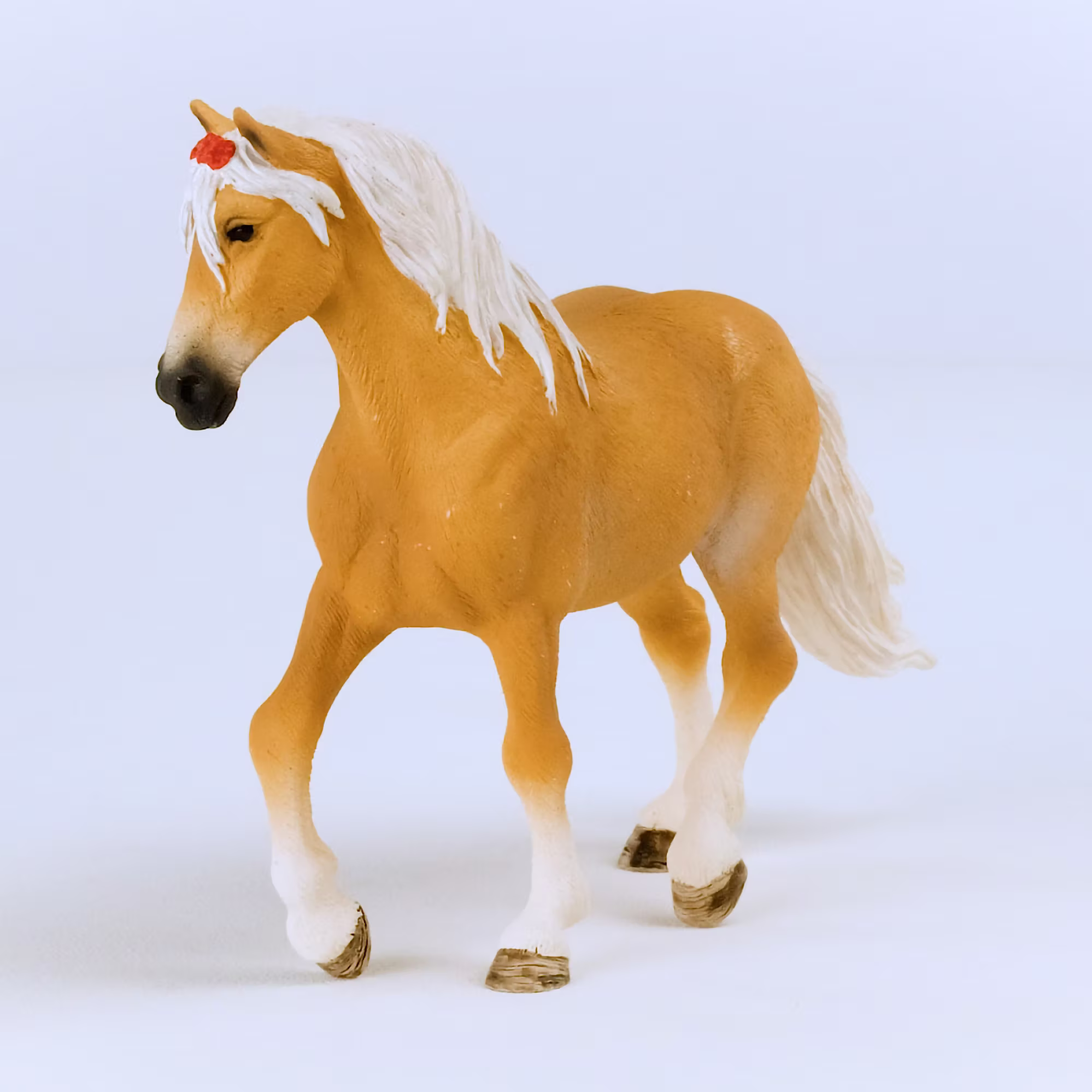 Haflinger Stute - Jamouz