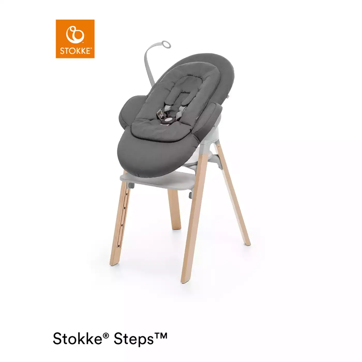 Steps Newborn Set Deep Grey White Chassis - Jamouz
