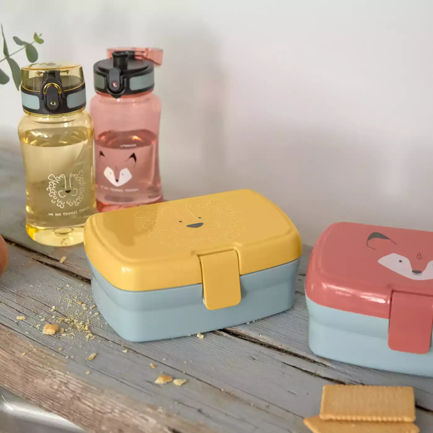 Lunch Set About Friends Lion - Jamouz