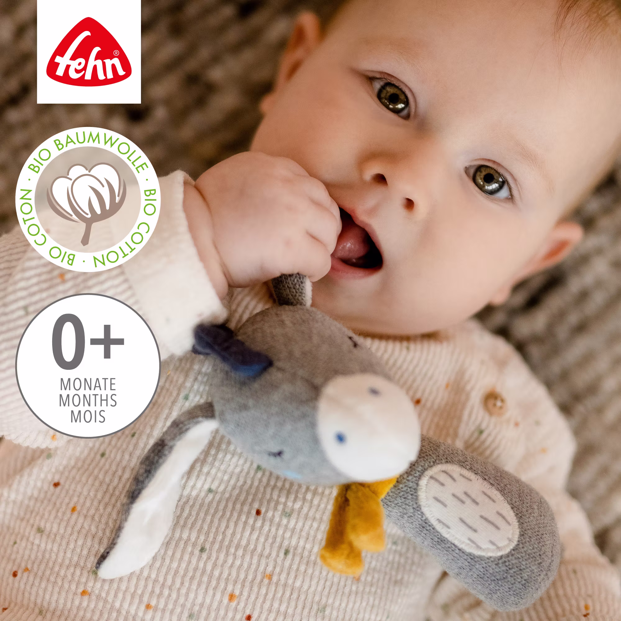 Stabrassel Esel - Jamouz