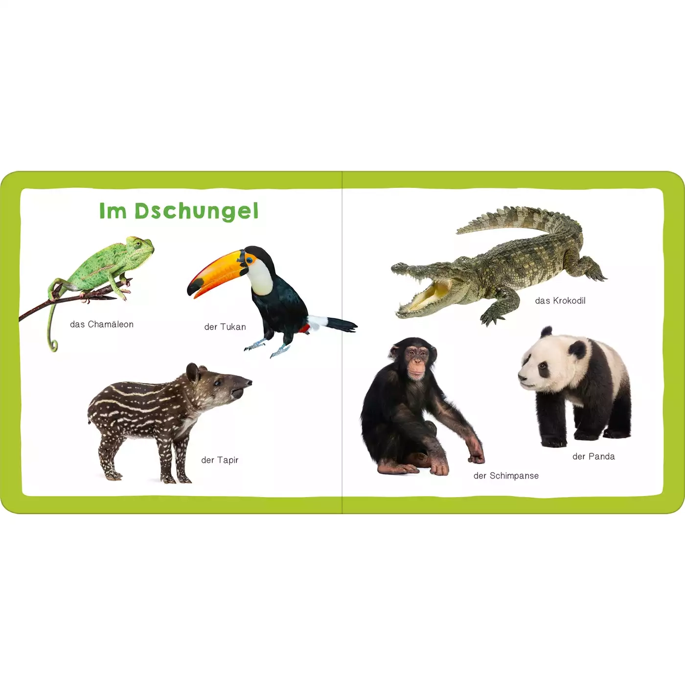 Meine ersten 100 Tiere - Jamouz