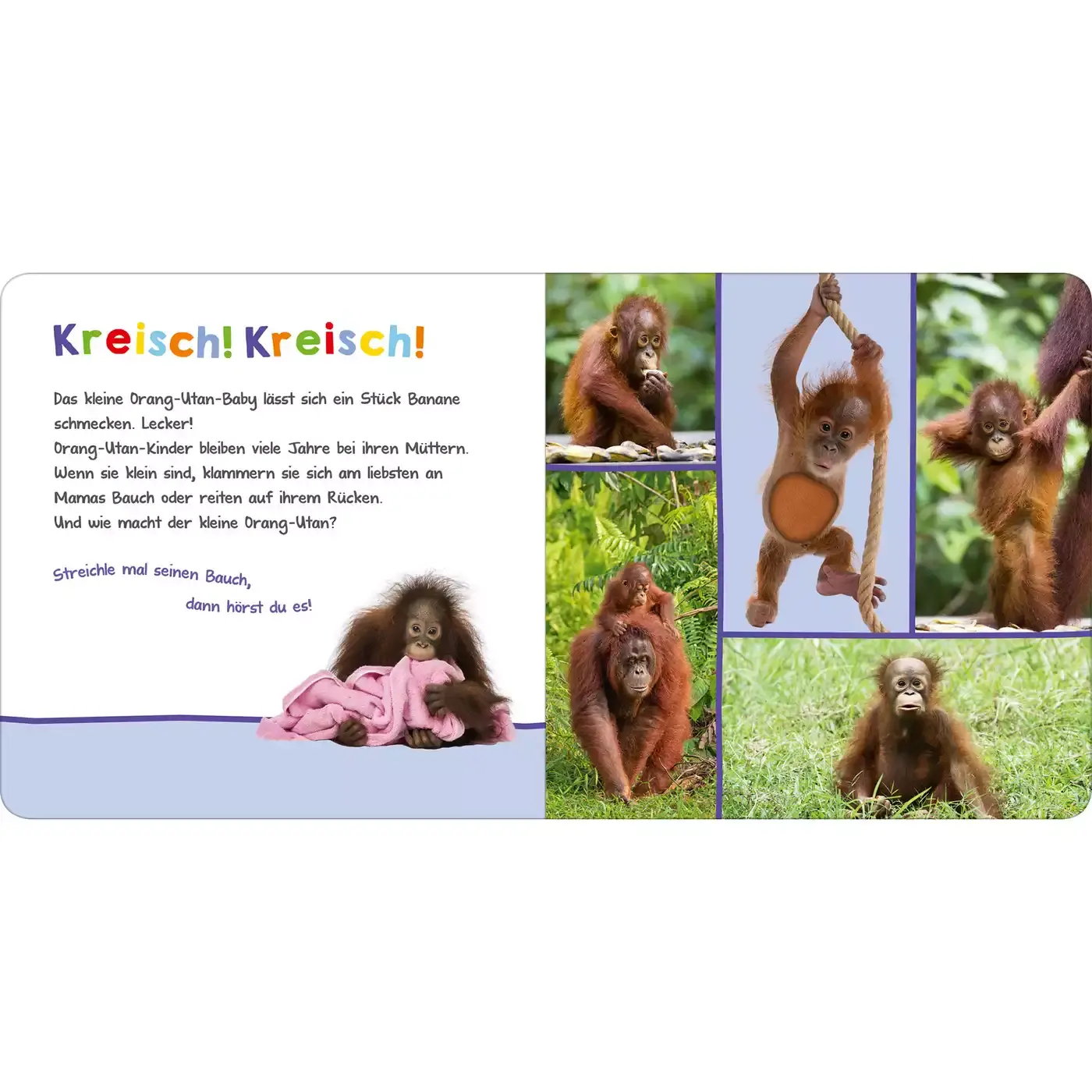 Hör mal rein, wer kann das sein? Tierbabys - Jamouz