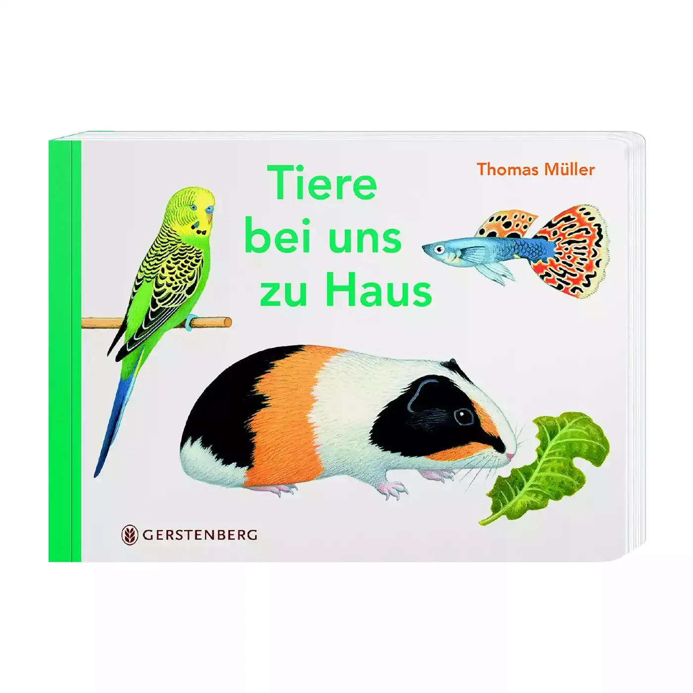 Tiere bei uns im Haus - Jamouz