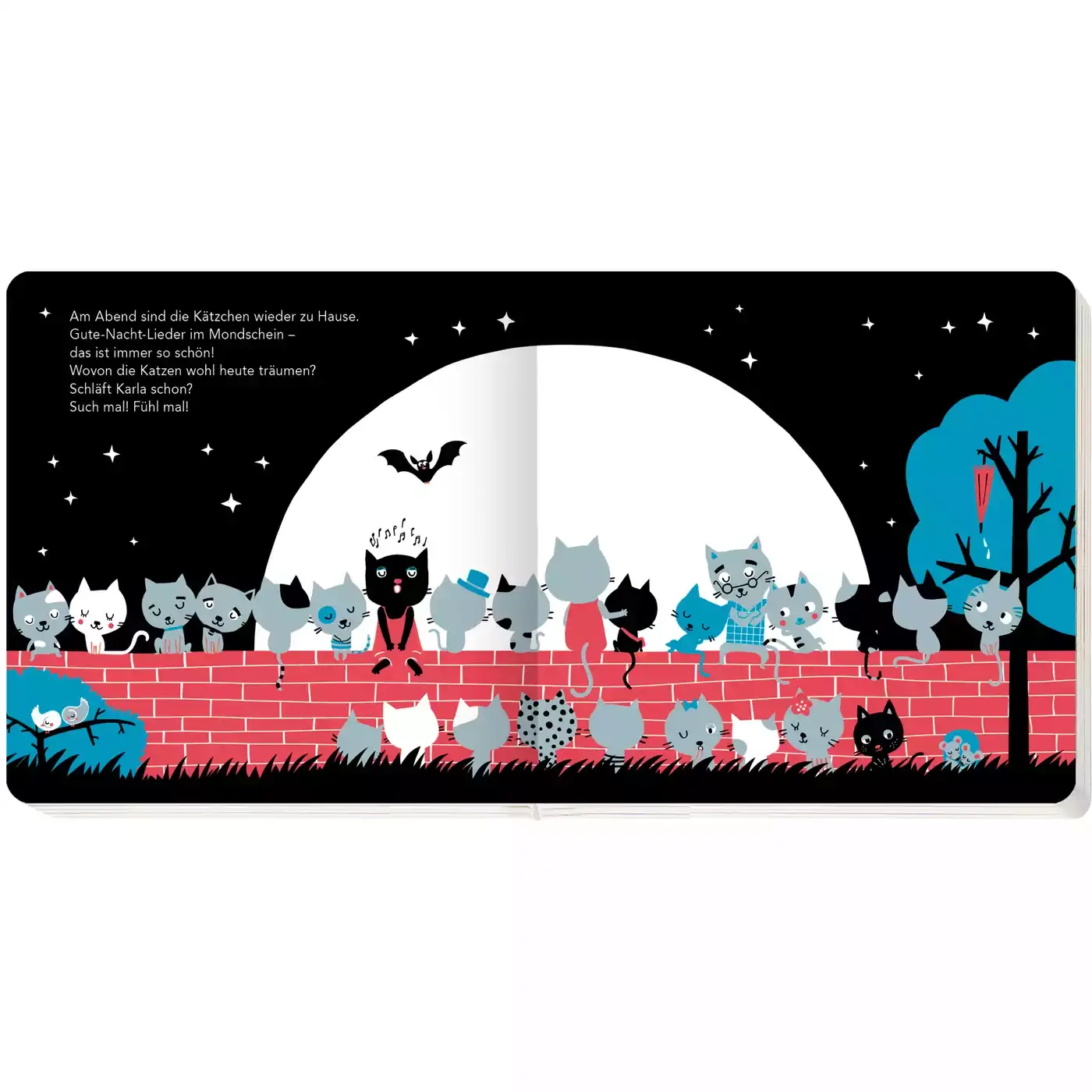 Fühl mal, such mal!: Wo ist Karla Katze? - Jamouz