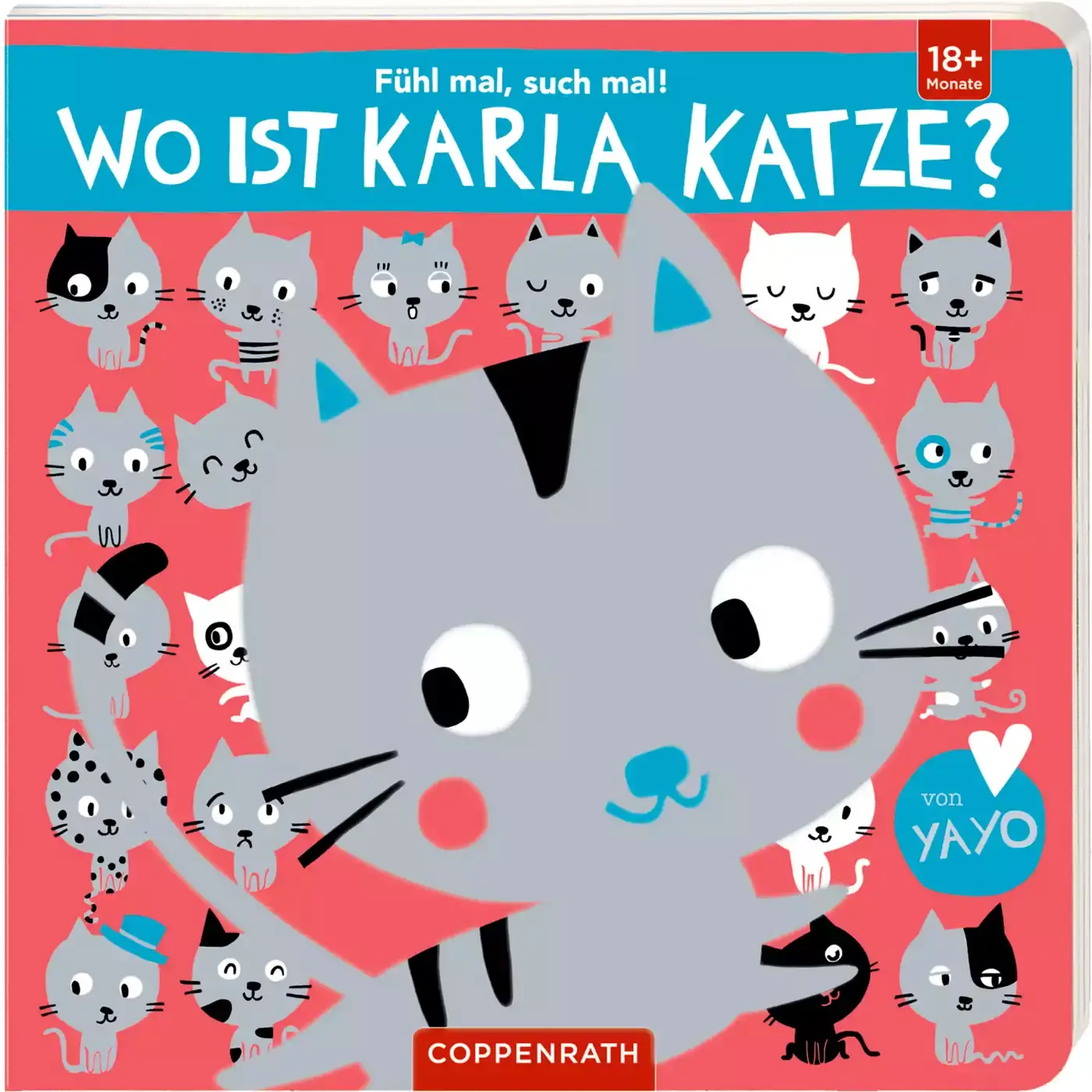 Fühl mal, such mal!: Wo ist Karla Katze? - Jamouz