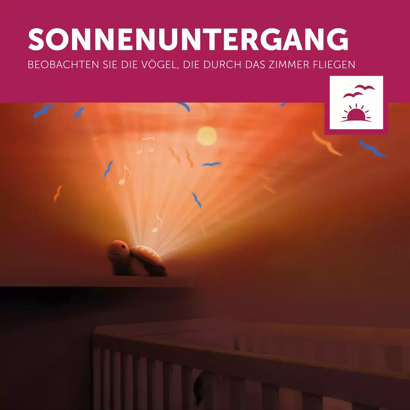 Projektor Tim die Schildkröte - Jamouz