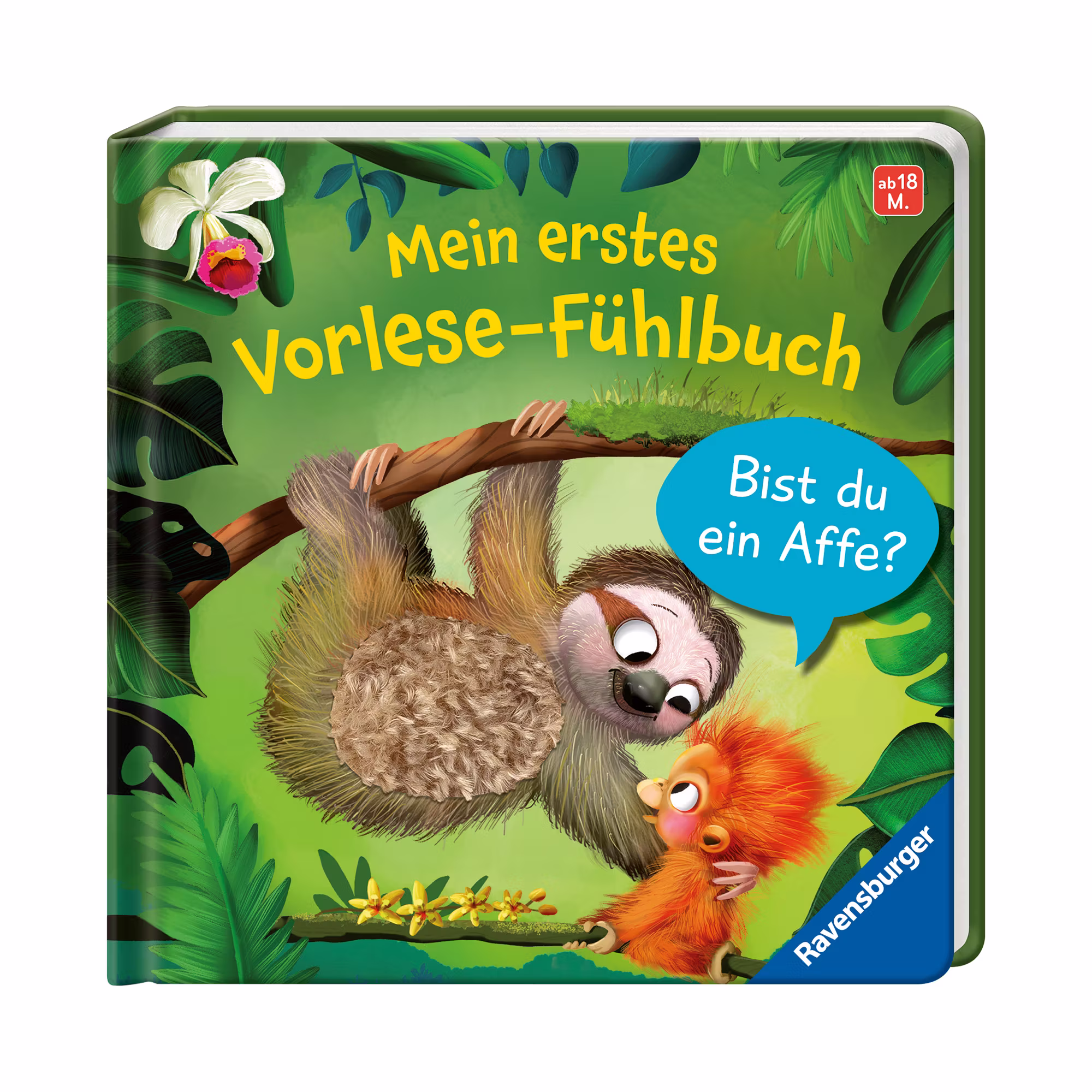 Mein erstes Vorlese-Fühlbuch: Bist du ein Affe? - Jamouz