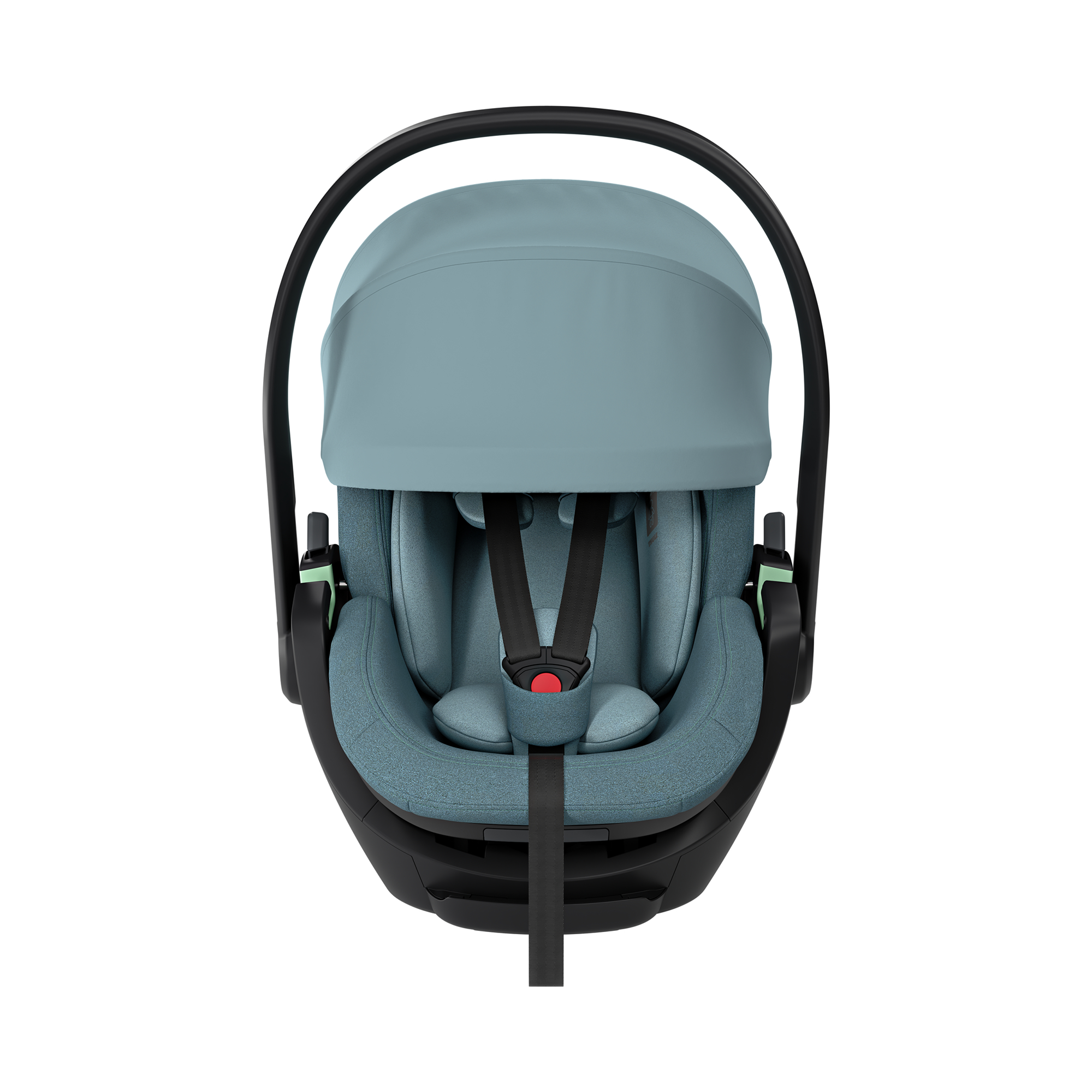 Maple Black - Jamouz