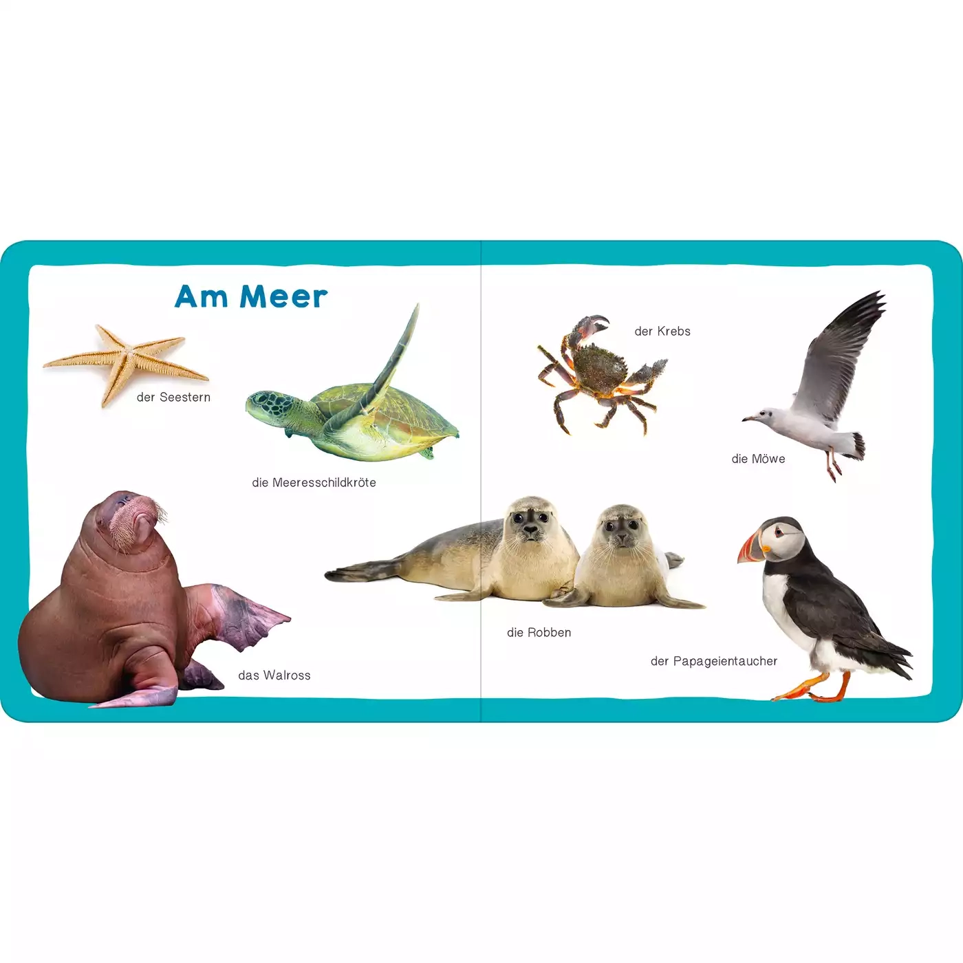 Meine ersten 100 Tiere - Jamouz