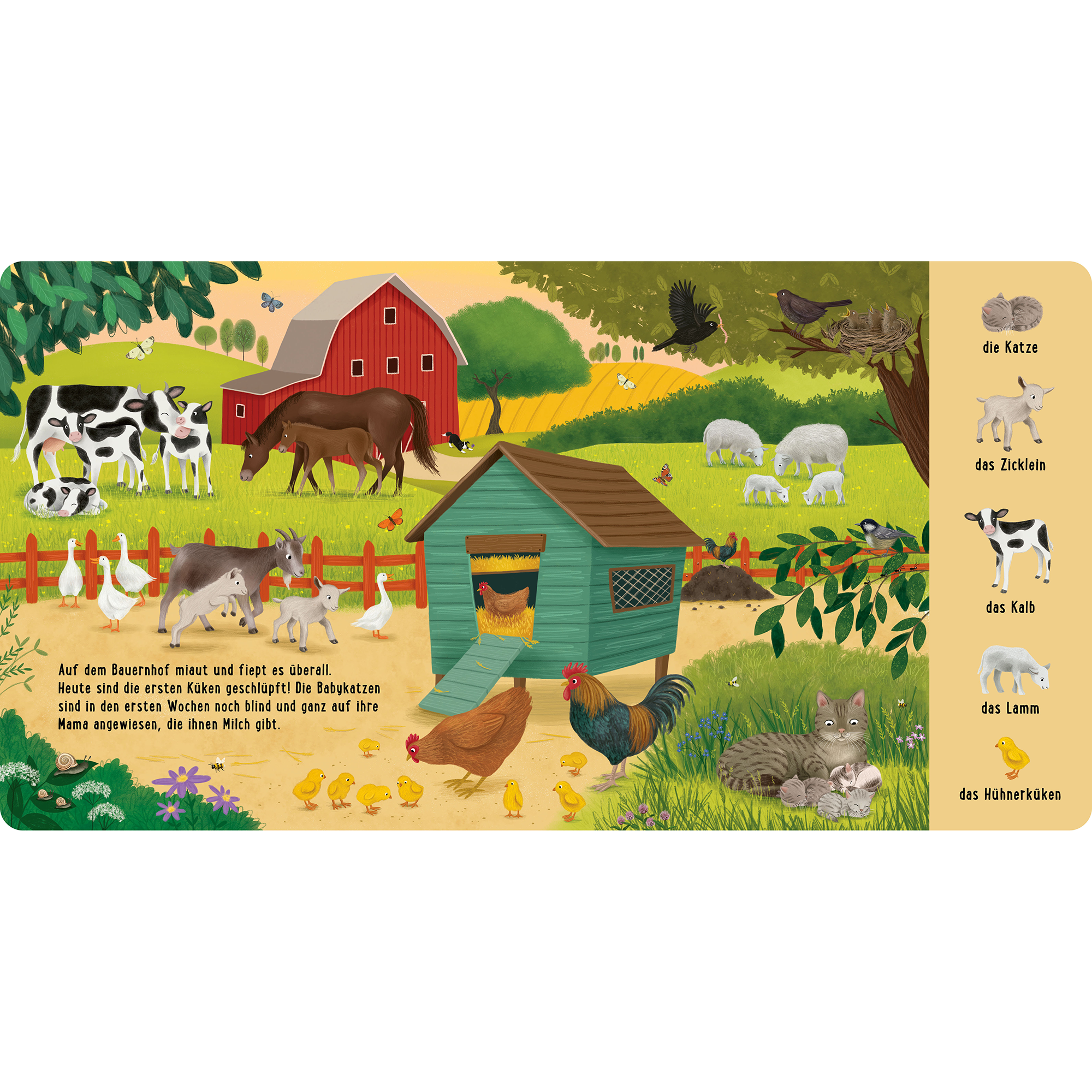 Mein erstes Natur-Wimmelbuch: Bei den Tierkindern - Jamouz