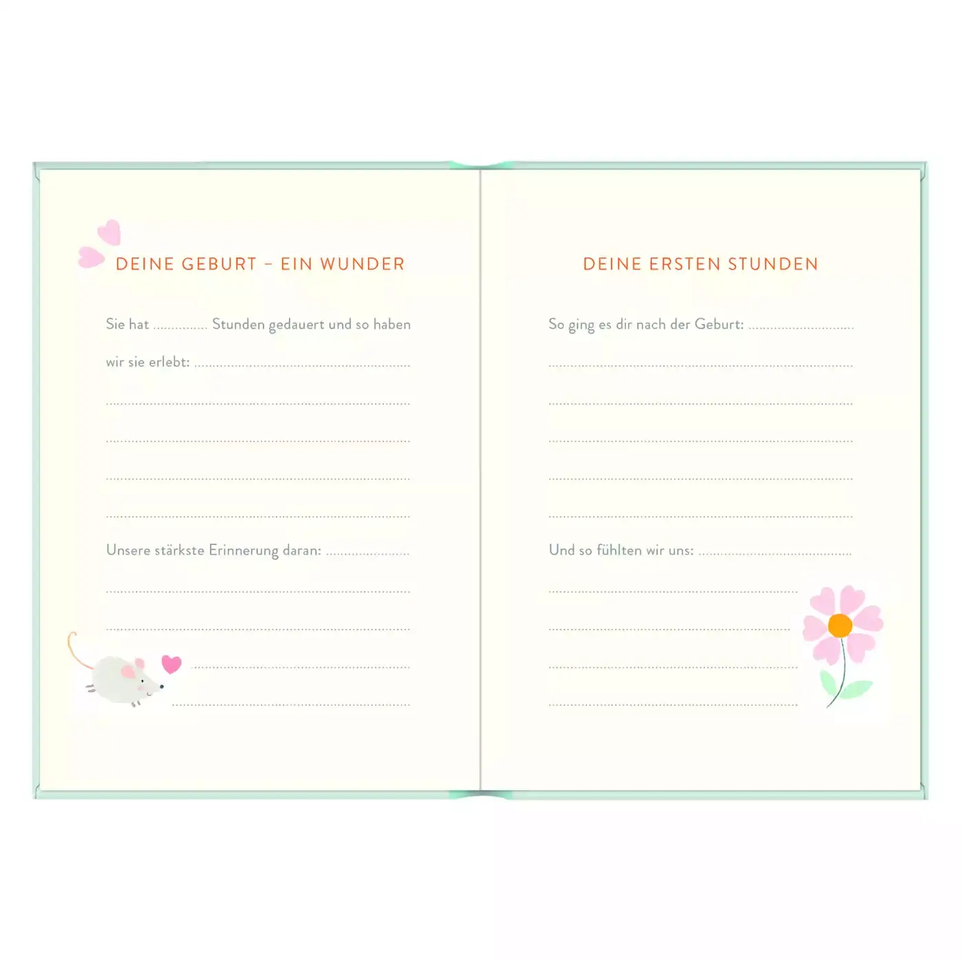 Buchbox: Unser kleiner Familienschatz - Jamouz