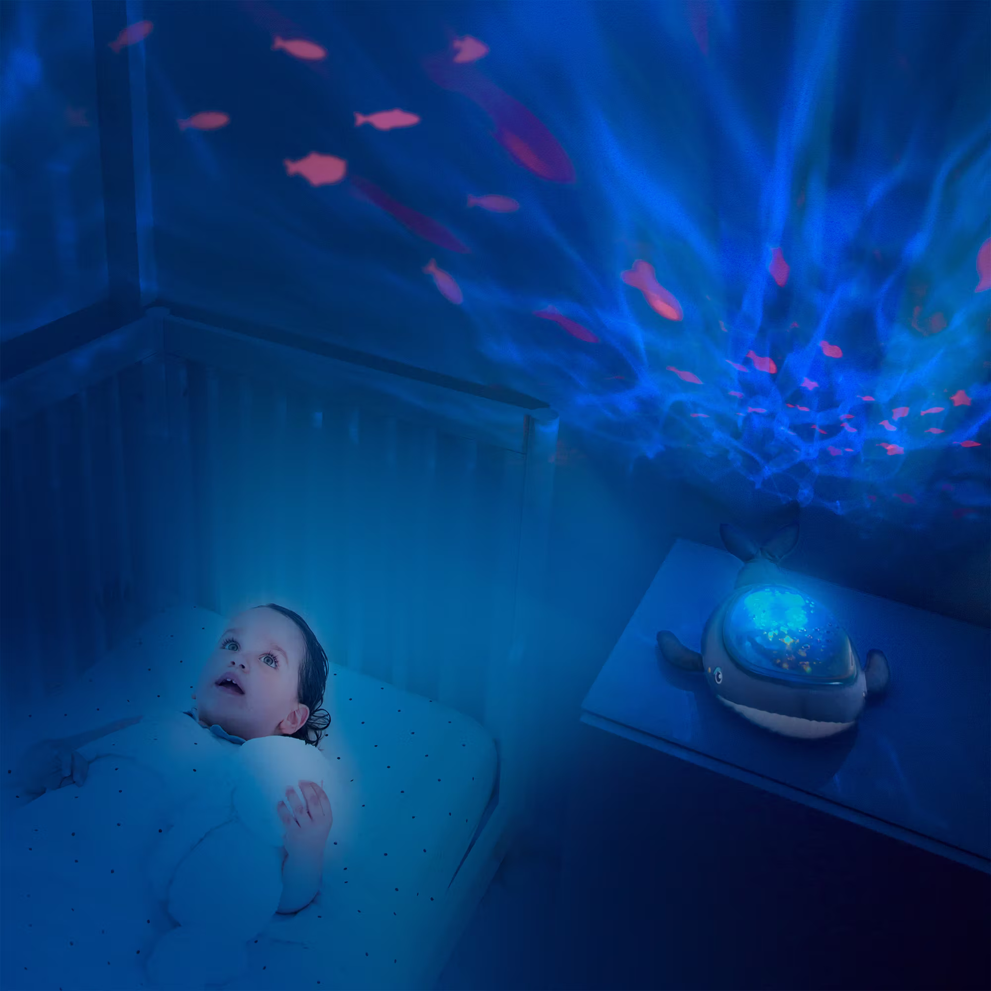 Nachtlicht Pabobo Aqua Dream - Jamouz