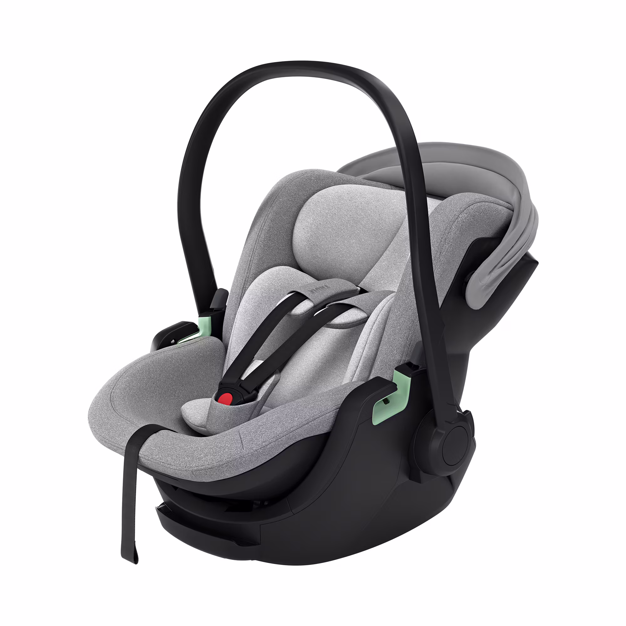 Maple Black - Jamouz