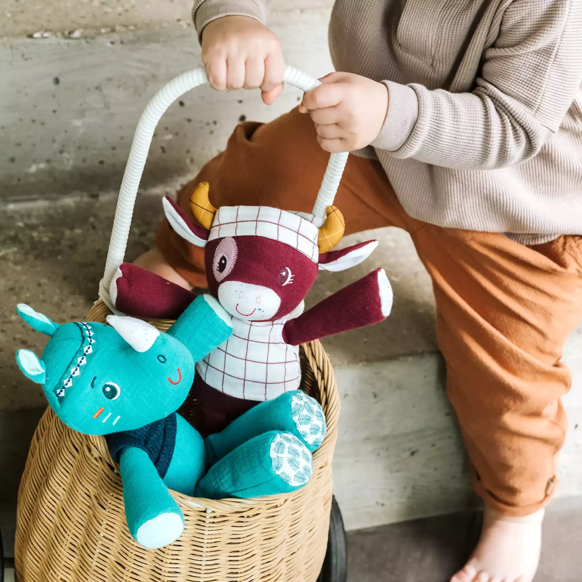 Kuscheltier Marius mit Geschenkverpackung - Jamouz