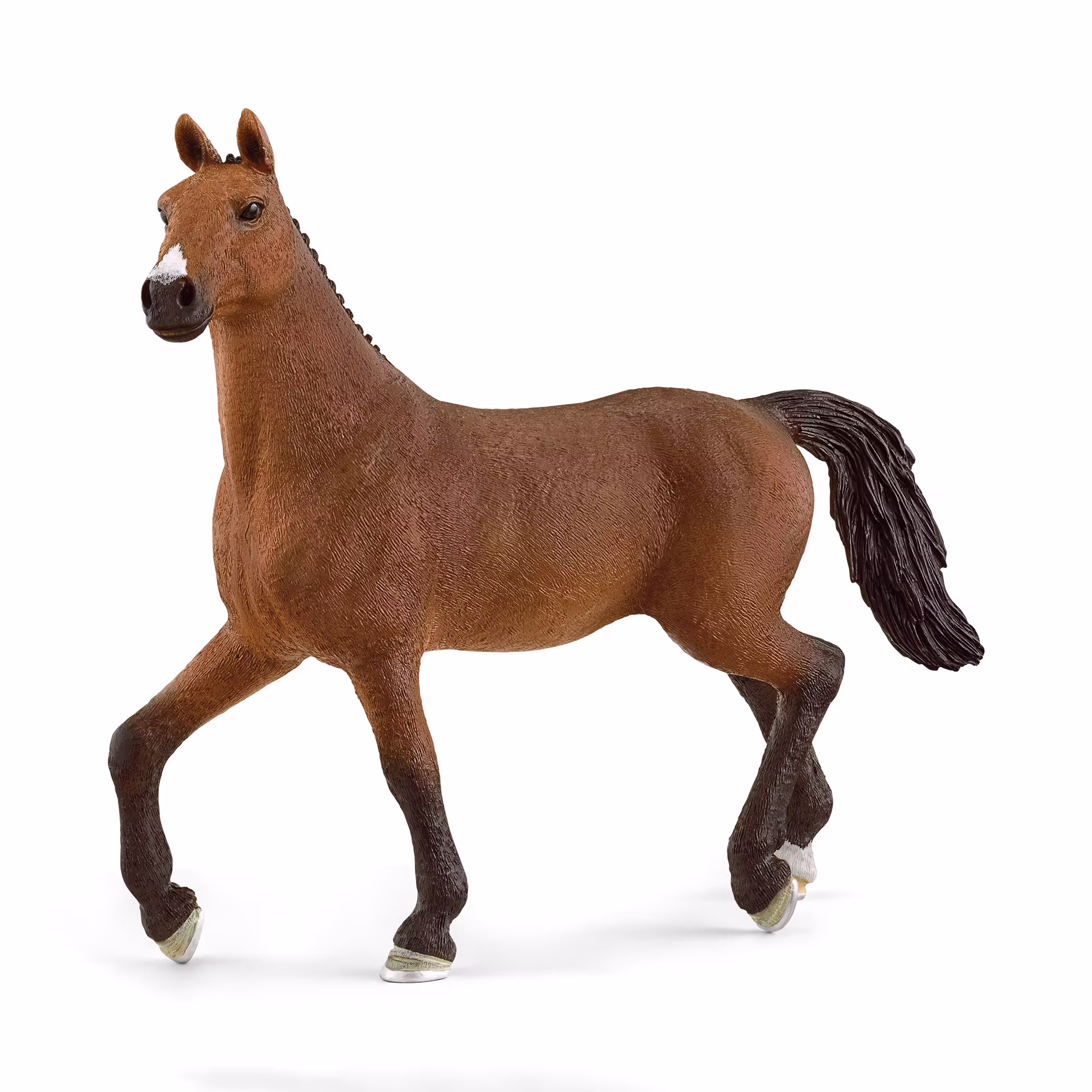 Oldenburger Stute - Jamouz