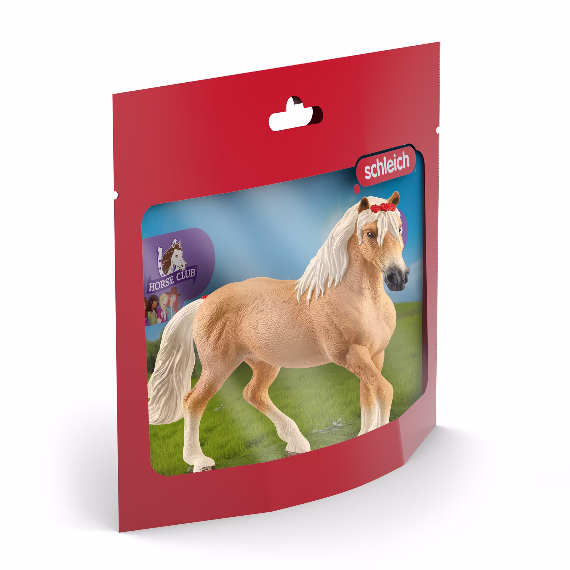 Haflinger Stute - Jamouz