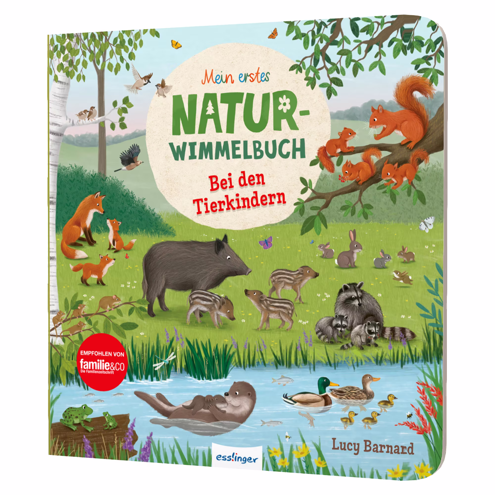 Mein erstes Natur-Wimmelbuch: Bei den Tierkindern - Jamouz