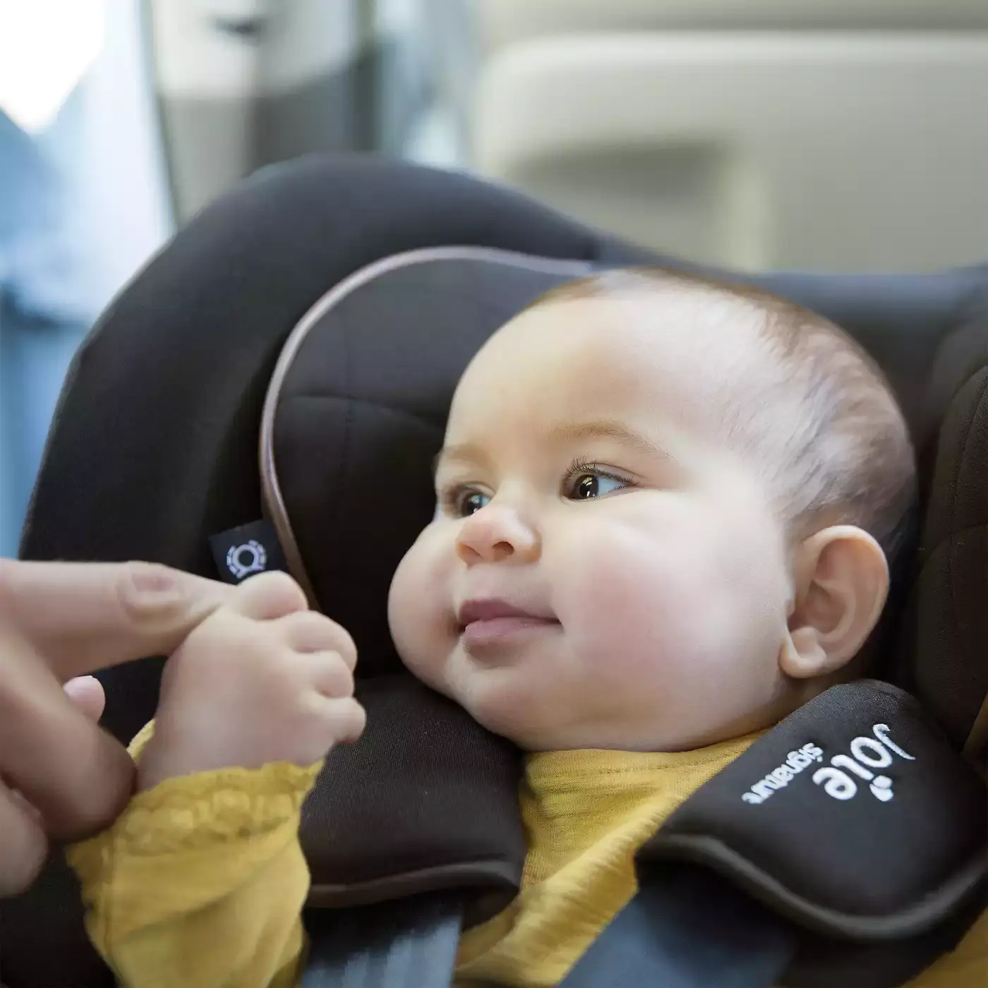 i-Gemm™ 2 Pavement - Jamouz