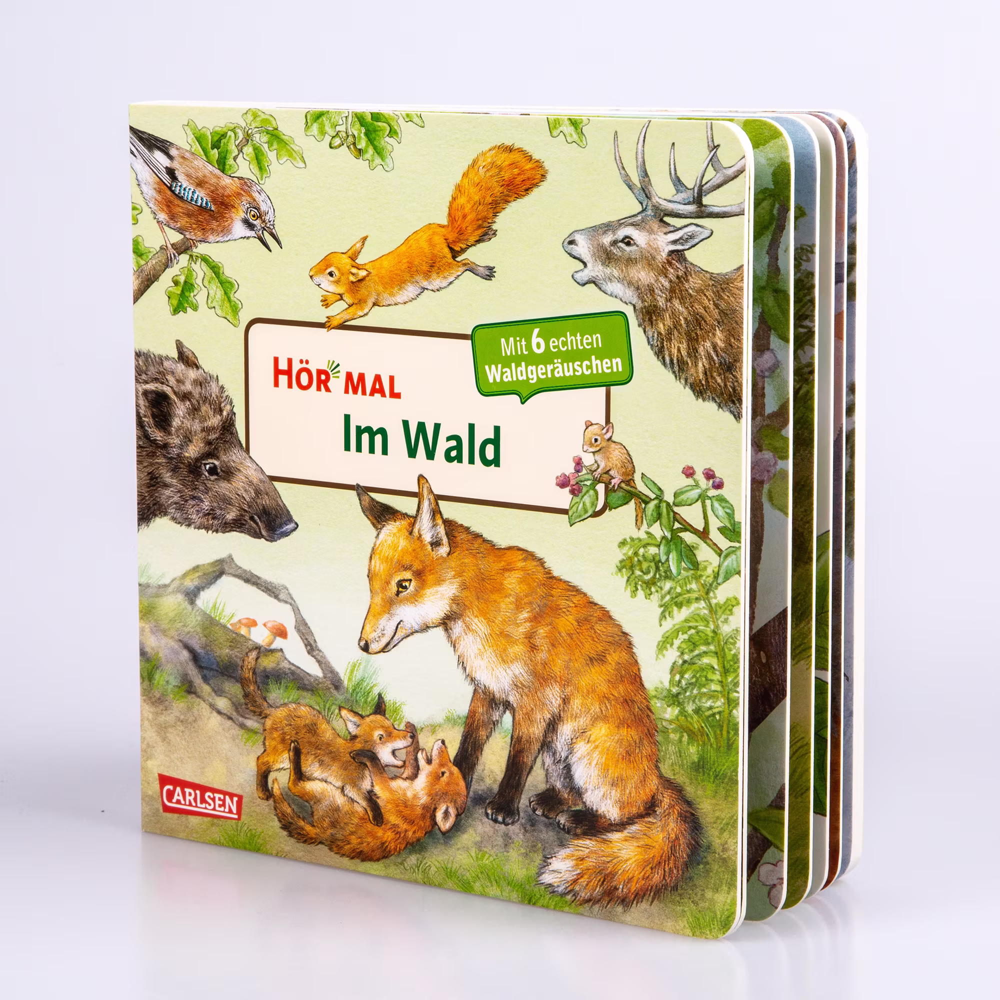 Hör mal: Im Wald - Jamouz