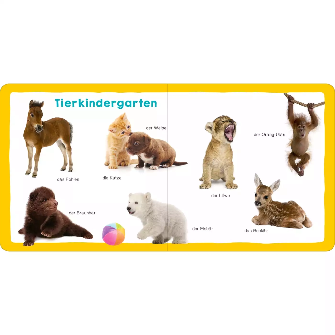 Meine ersten 100 Tiere - Jamouz