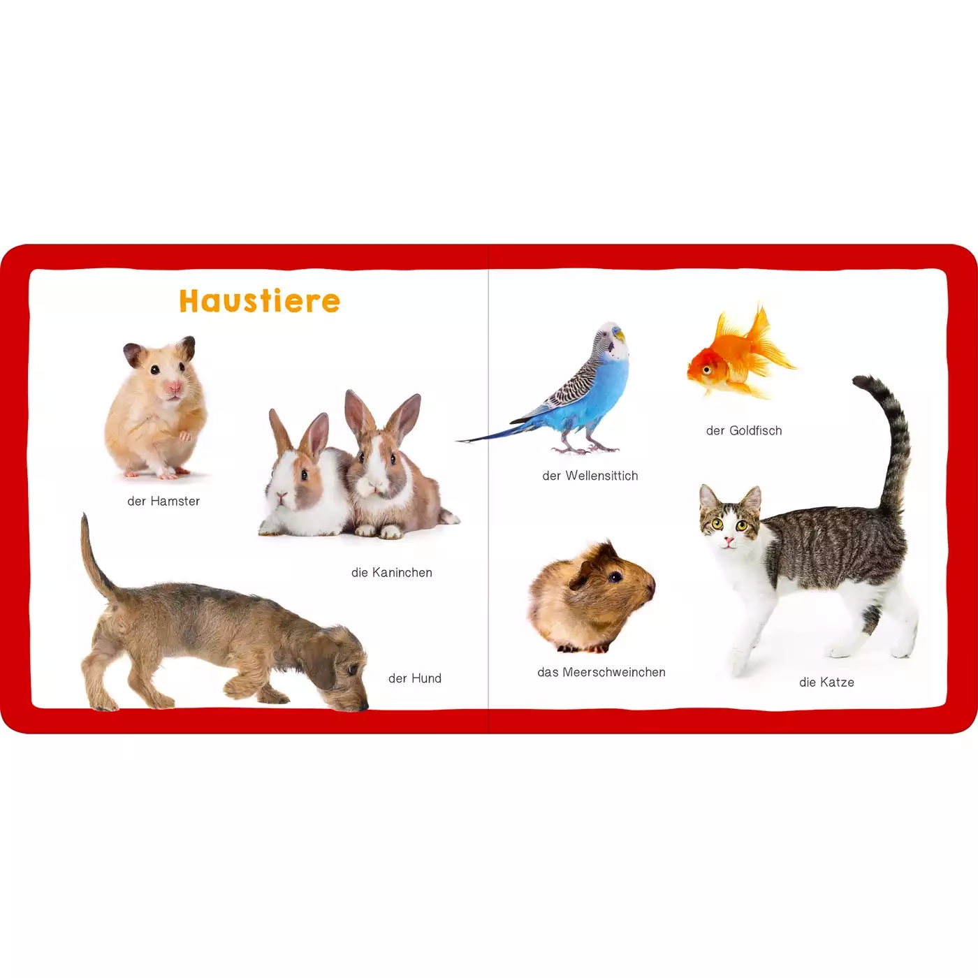 Meine ersten 100 Tiere - Jamouz