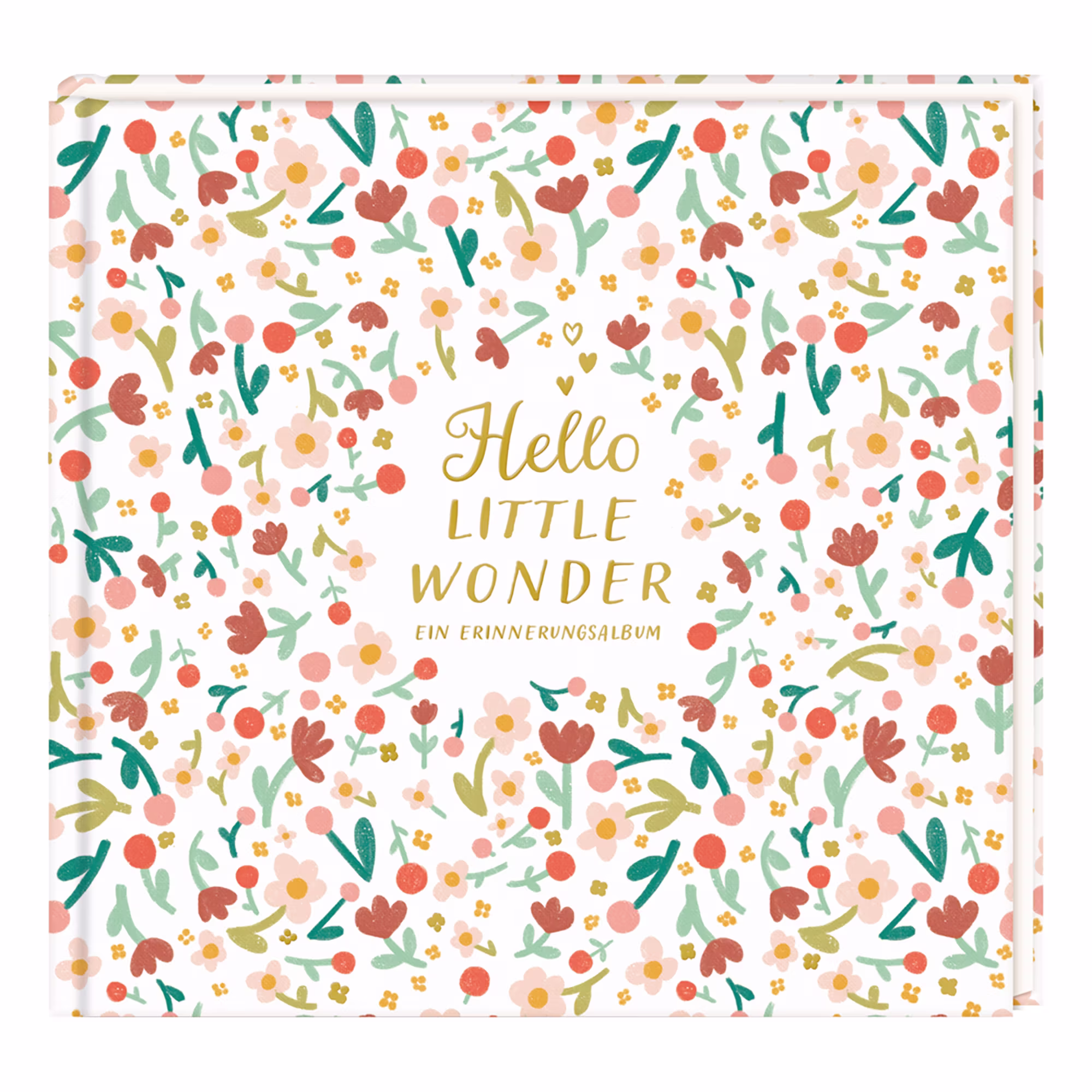Eintragalbum - Hello Little Wonder - Jamouz