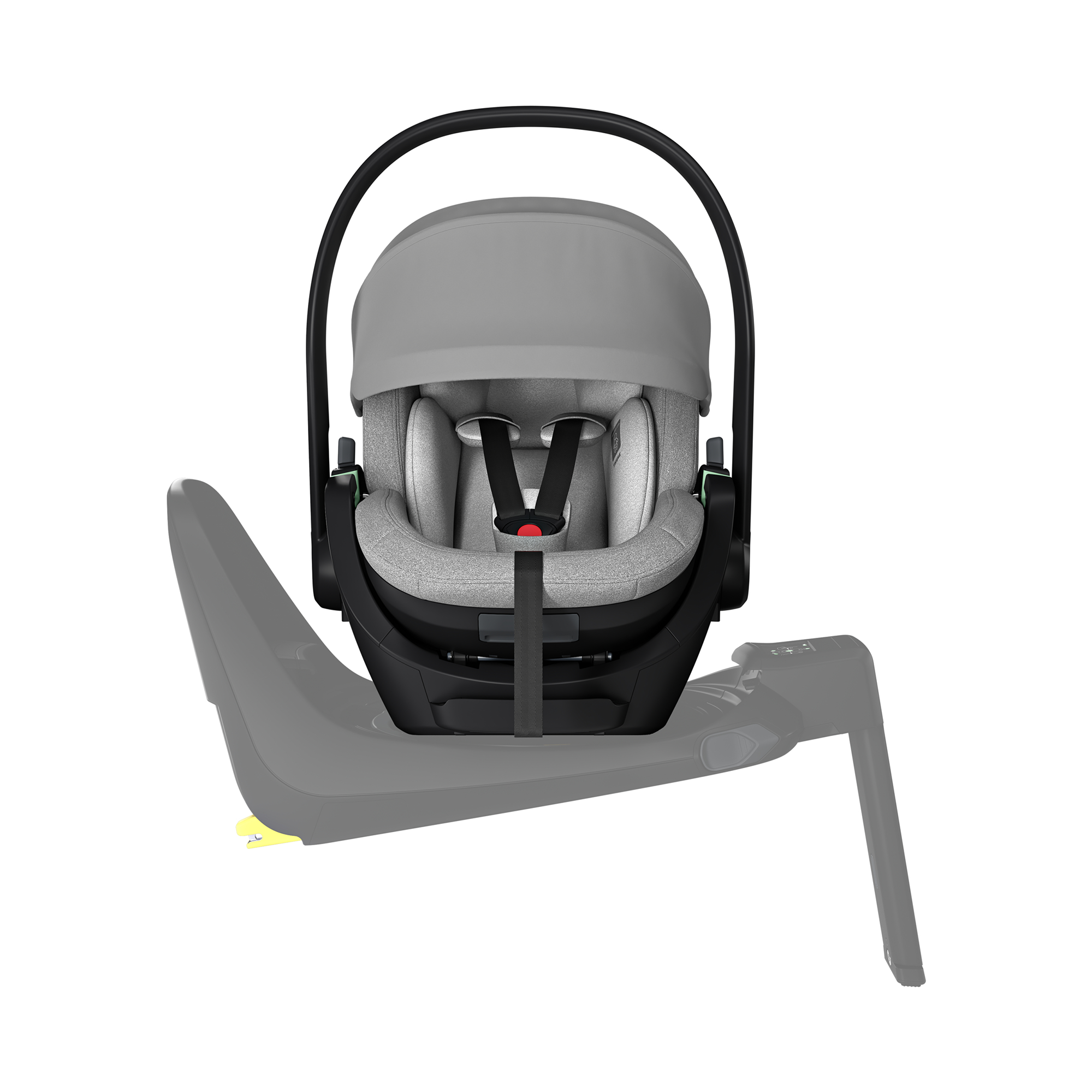 Maple Black - Jamouz