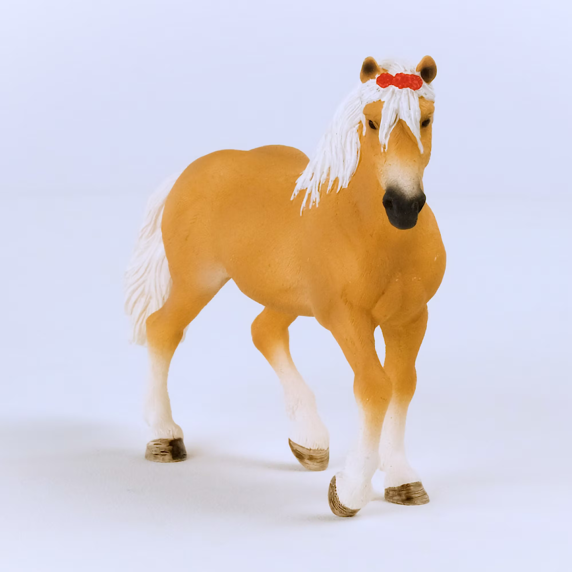 Haflinger Stute - Jamouz