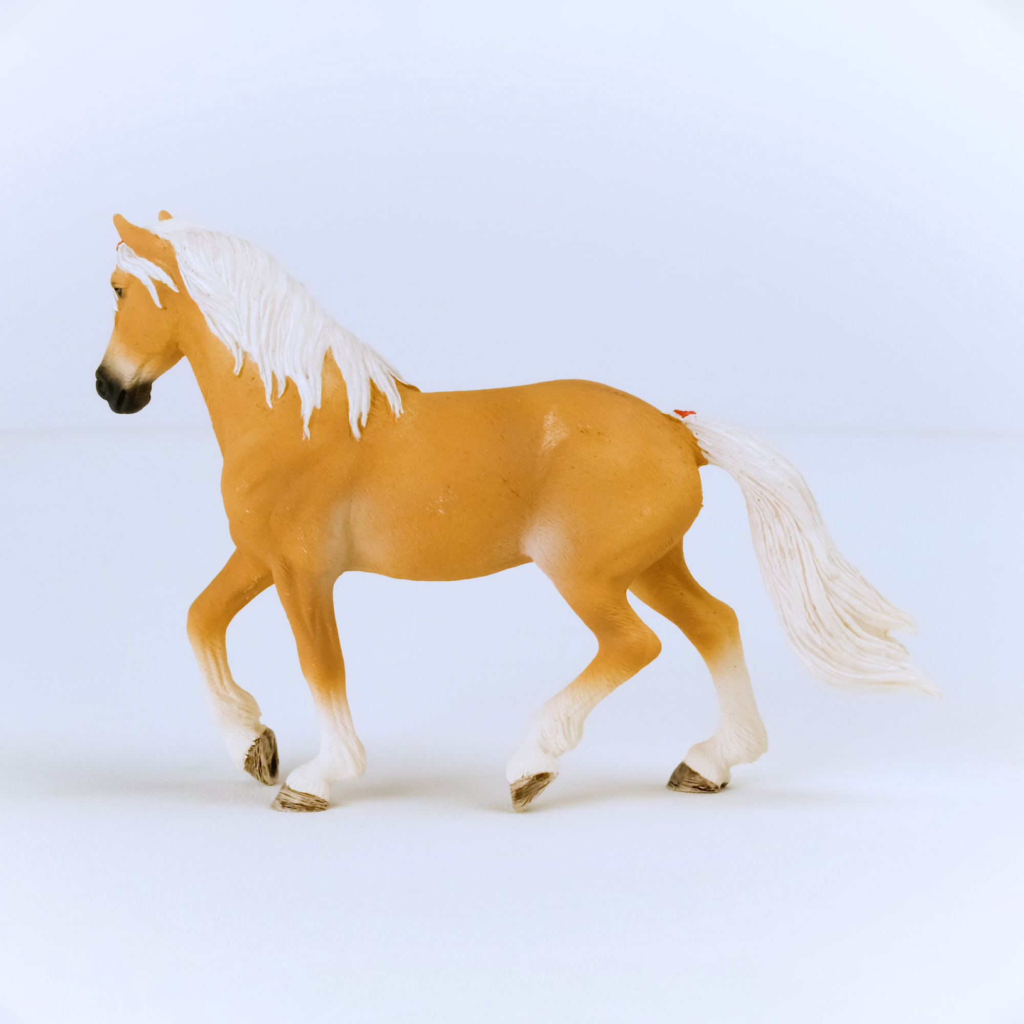 Haflinger Stute - Jamouz