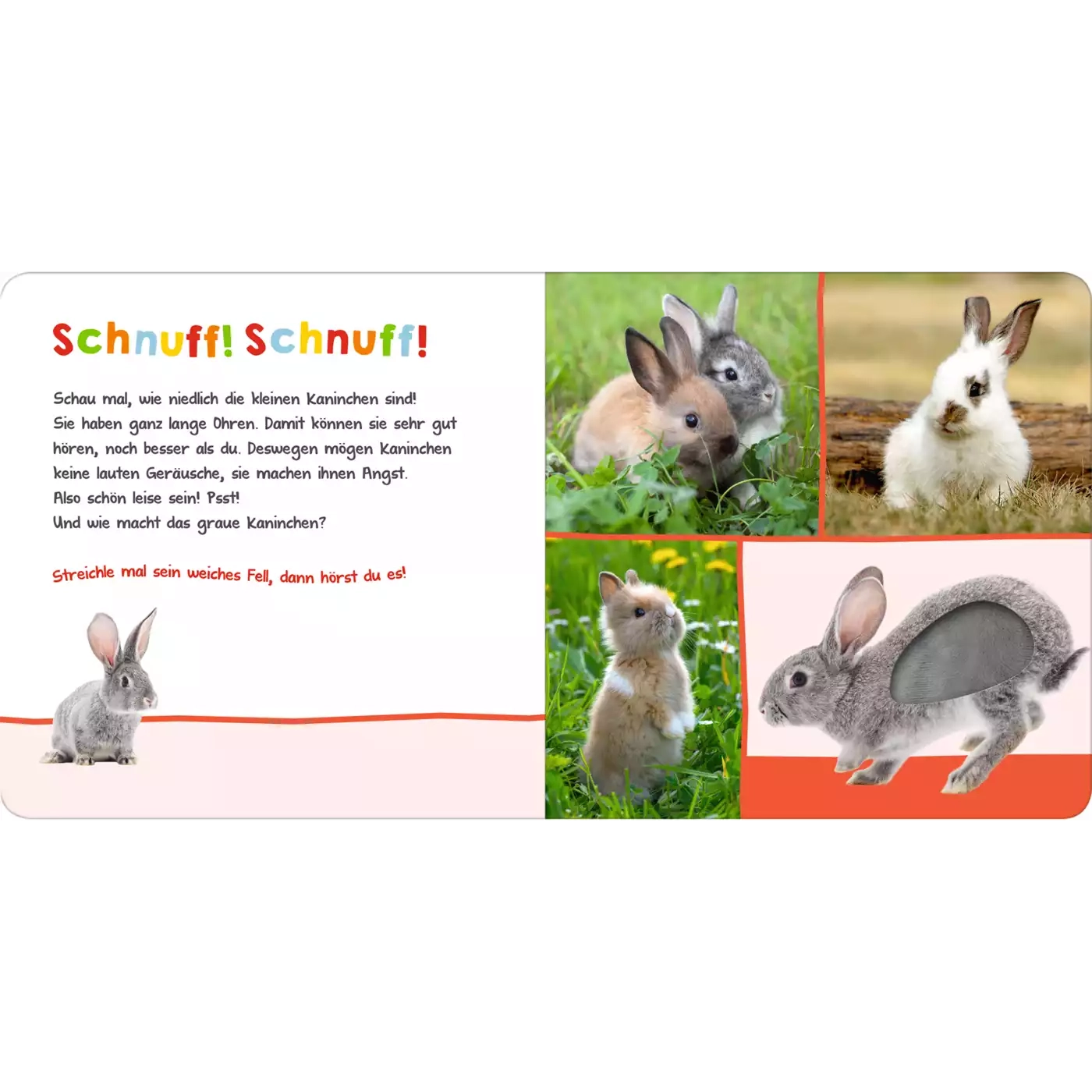 Hör mal rein Streicheltiere - Jamouz