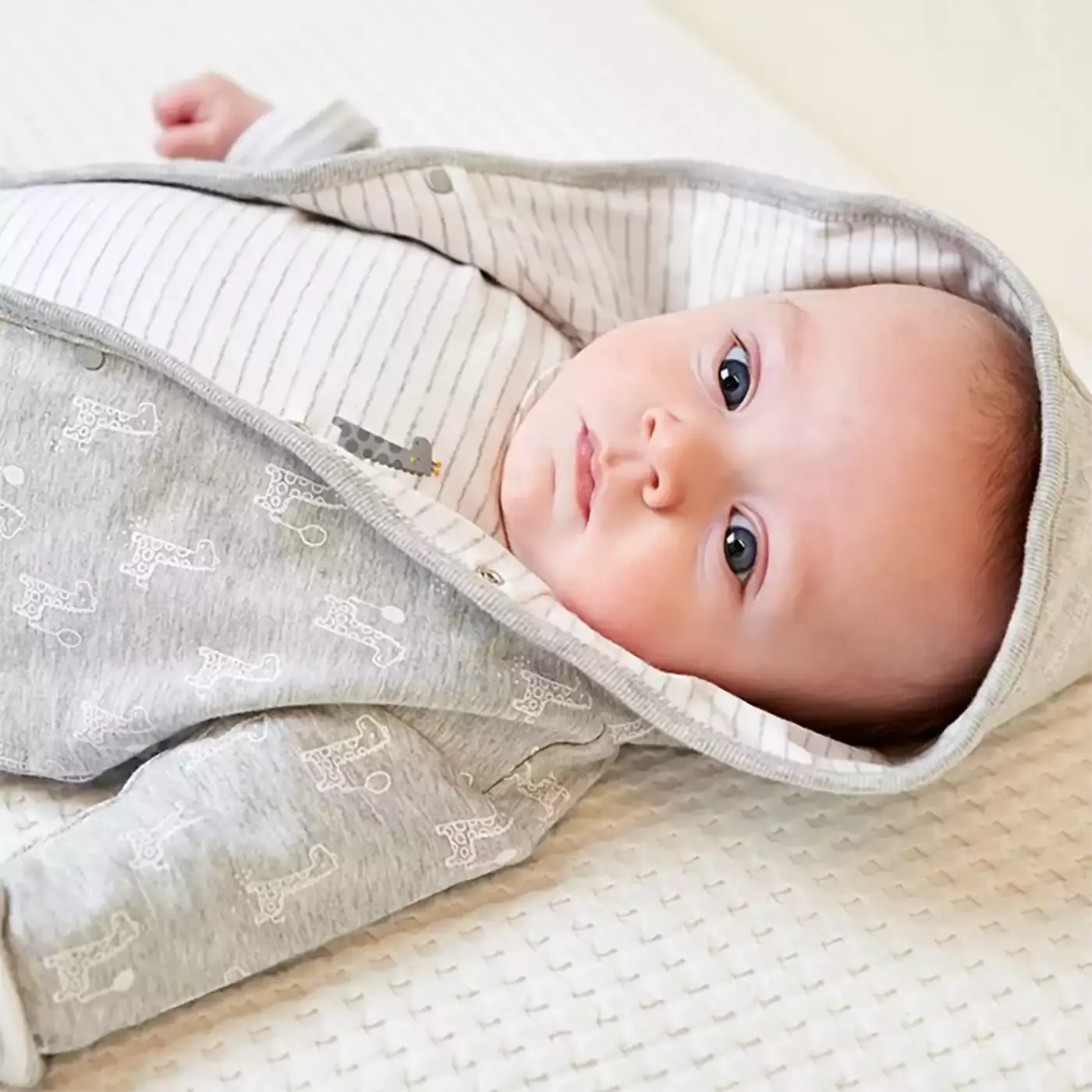 Wendejacke m. Kapuze grau mel Giraffe Grau Melange - Jamouz