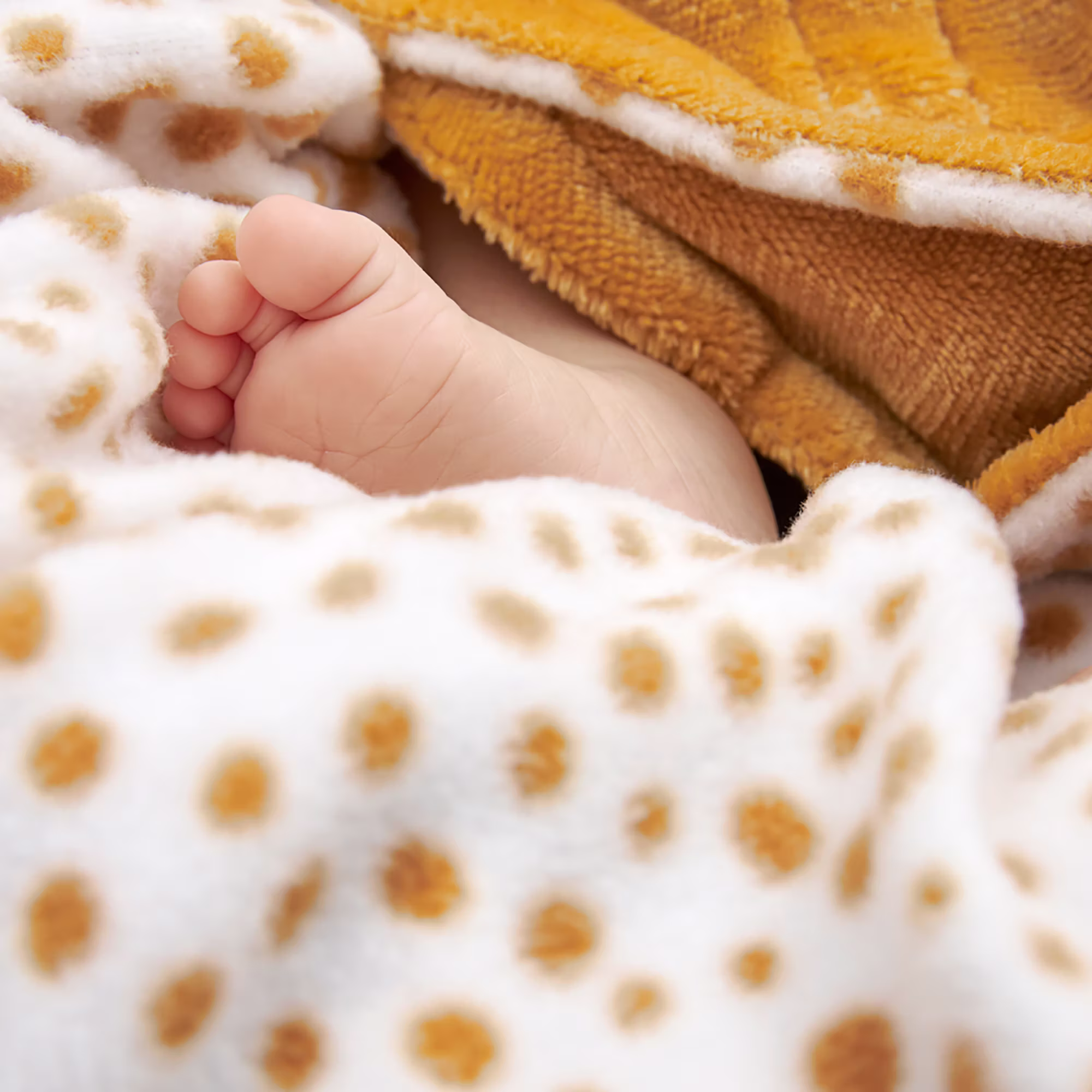 Einschlagdecke Fleece Cheetah Honey Gold - Jamouz