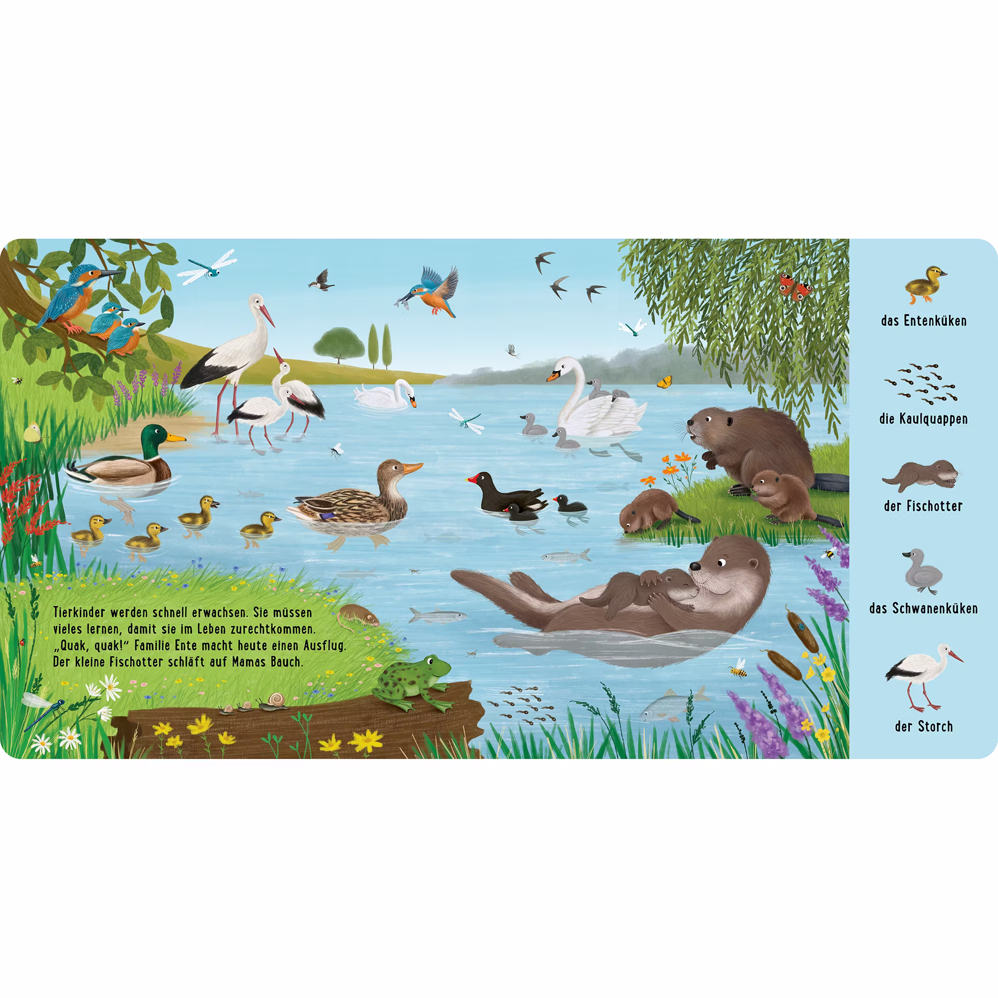 Mein erstes Natur-Wimmelbuch: Bei den Tierkindern - Jamouz