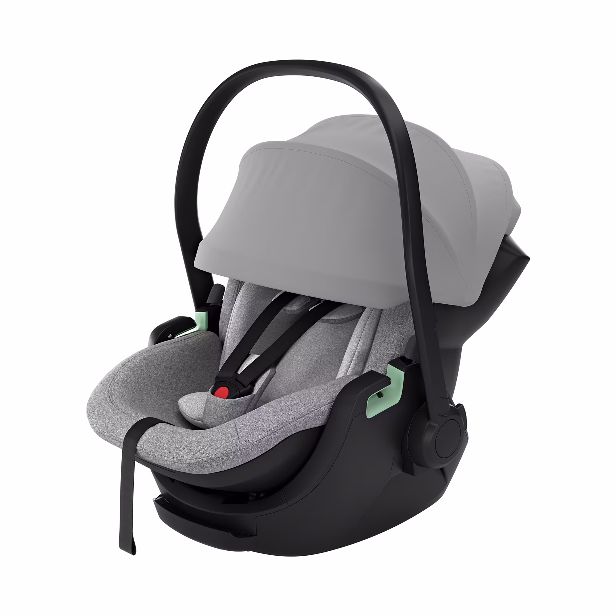 Maple Black - Jamouz