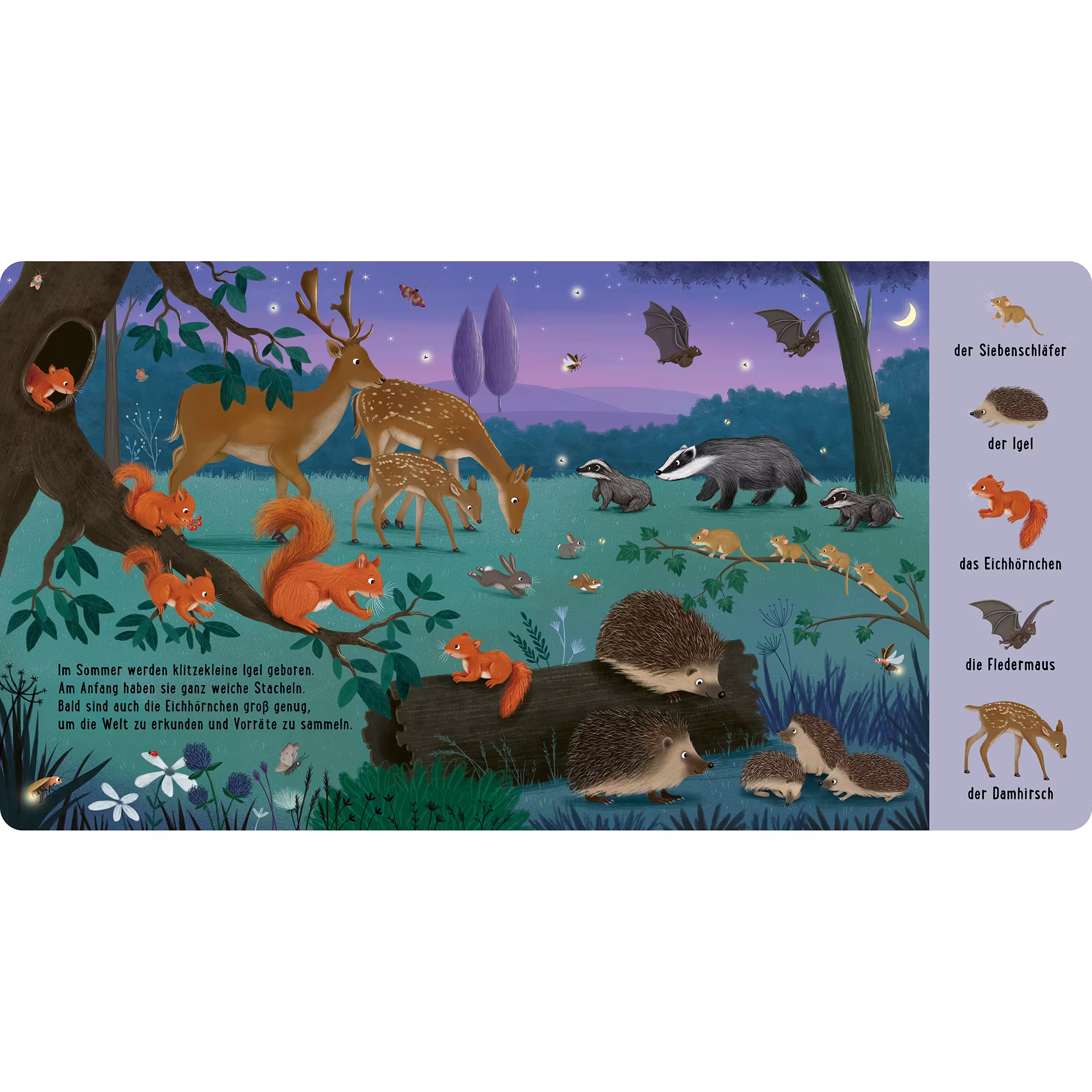 Mein erstes Natur-Wimmelbuch: Bei den Tierkindern - Jamouz