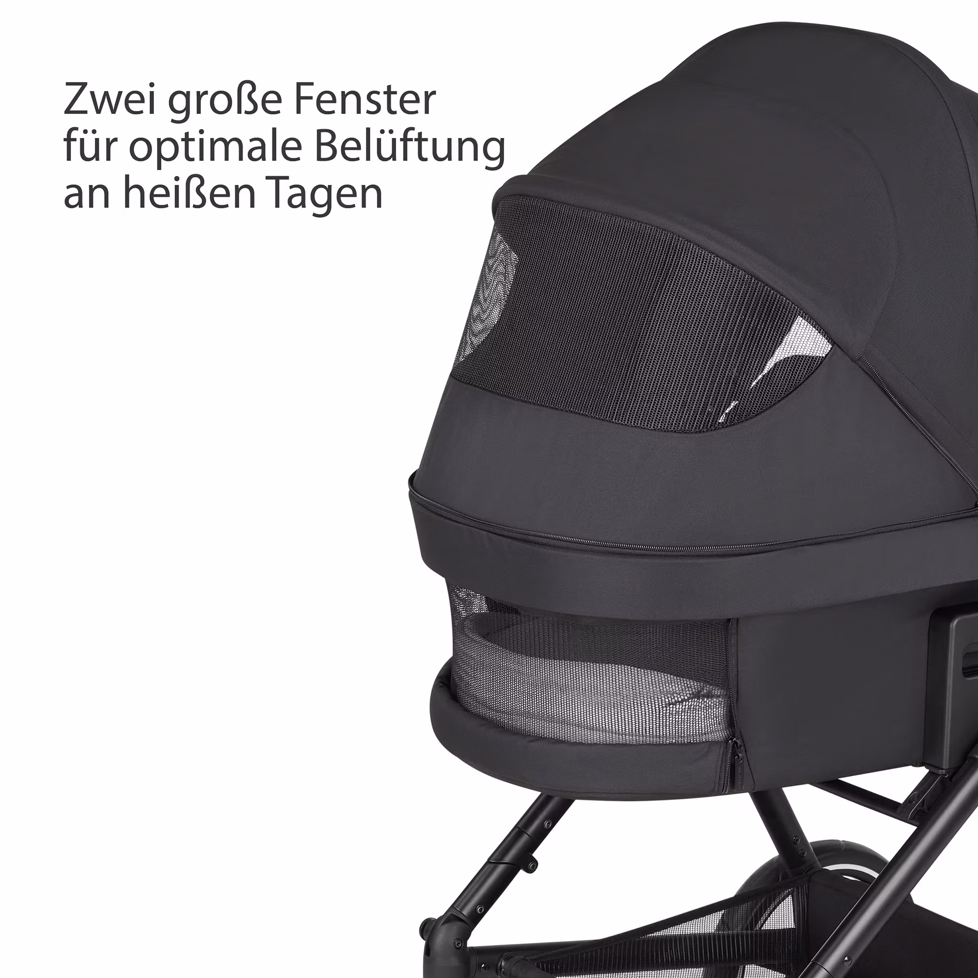 Vicon 4 Classic Lake - Jamouz